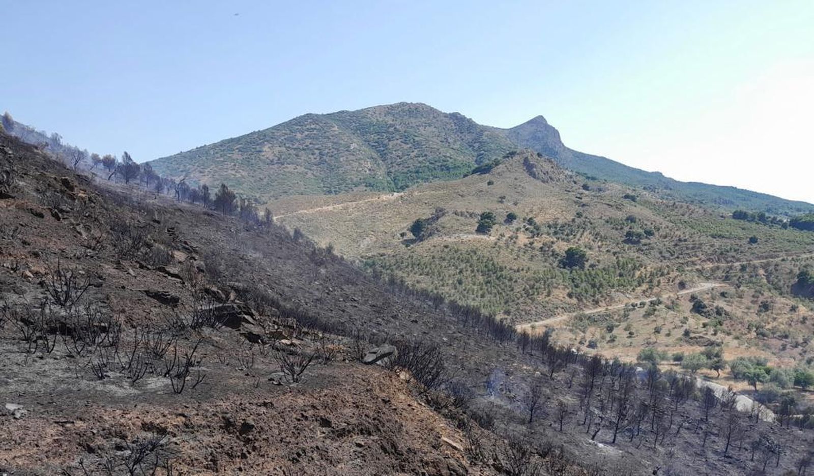 La loma donde se ha producido el incendio en Ardales