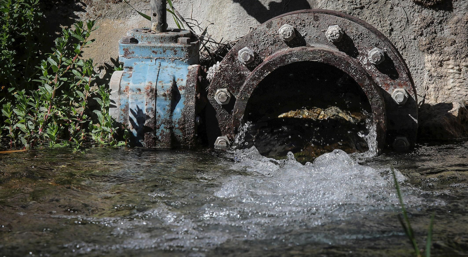 Los manantiales del Tempul.