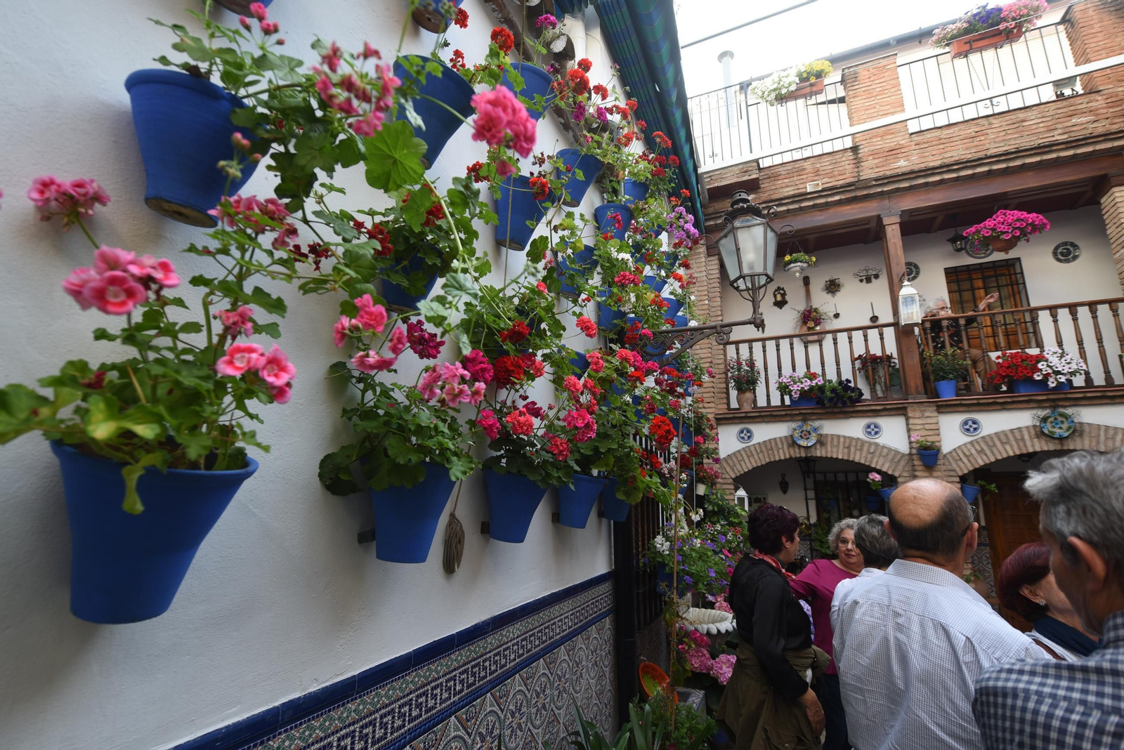 Los Patios de la ruta de San Lorenzo, en imágenes