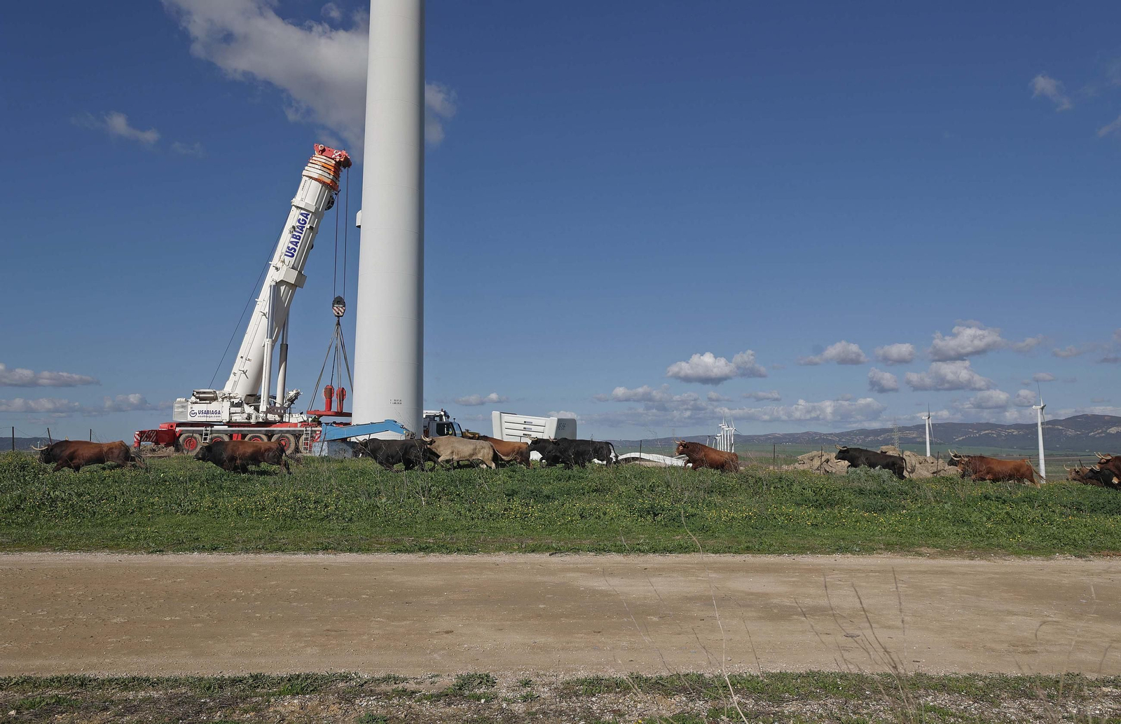 Álvaro Núñez Benjumea debuta este 2025 en Pamplona como gran sorpresa ganadera de los sanfermines, en imágenes