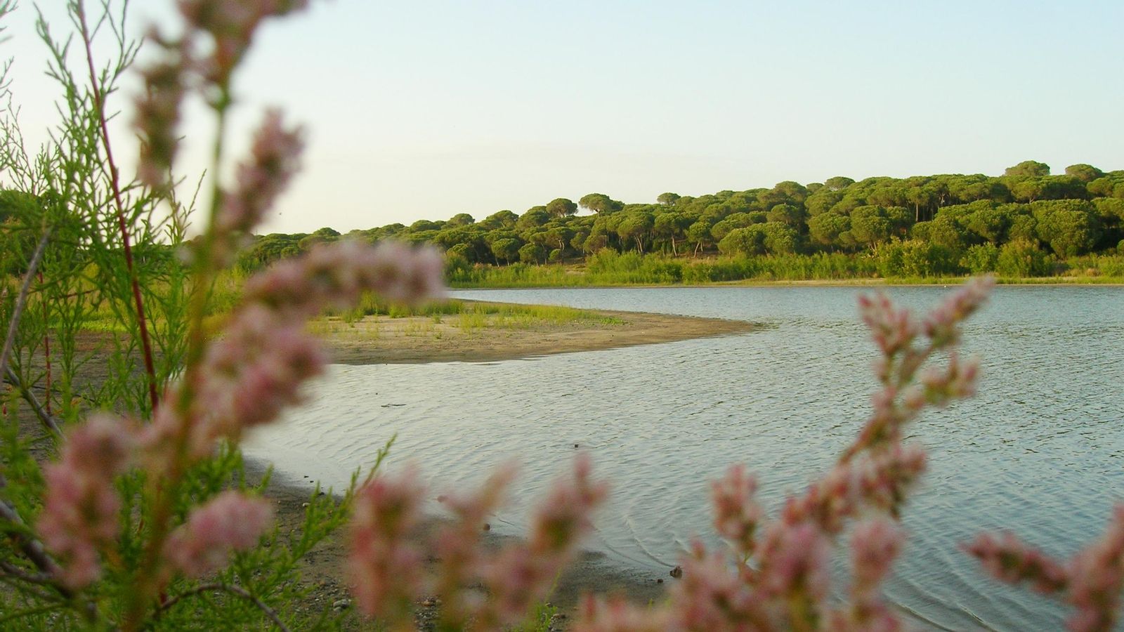 Laguna de El Portil.