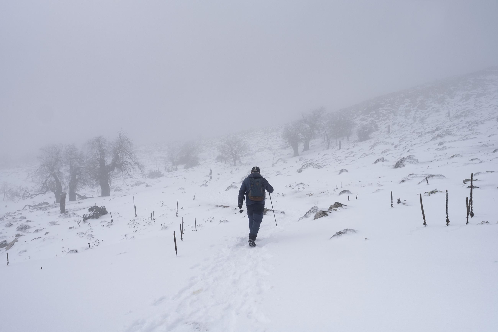 La ruta por la nieve en el Parque Nacional Sierra de las Nievas, en imágenes