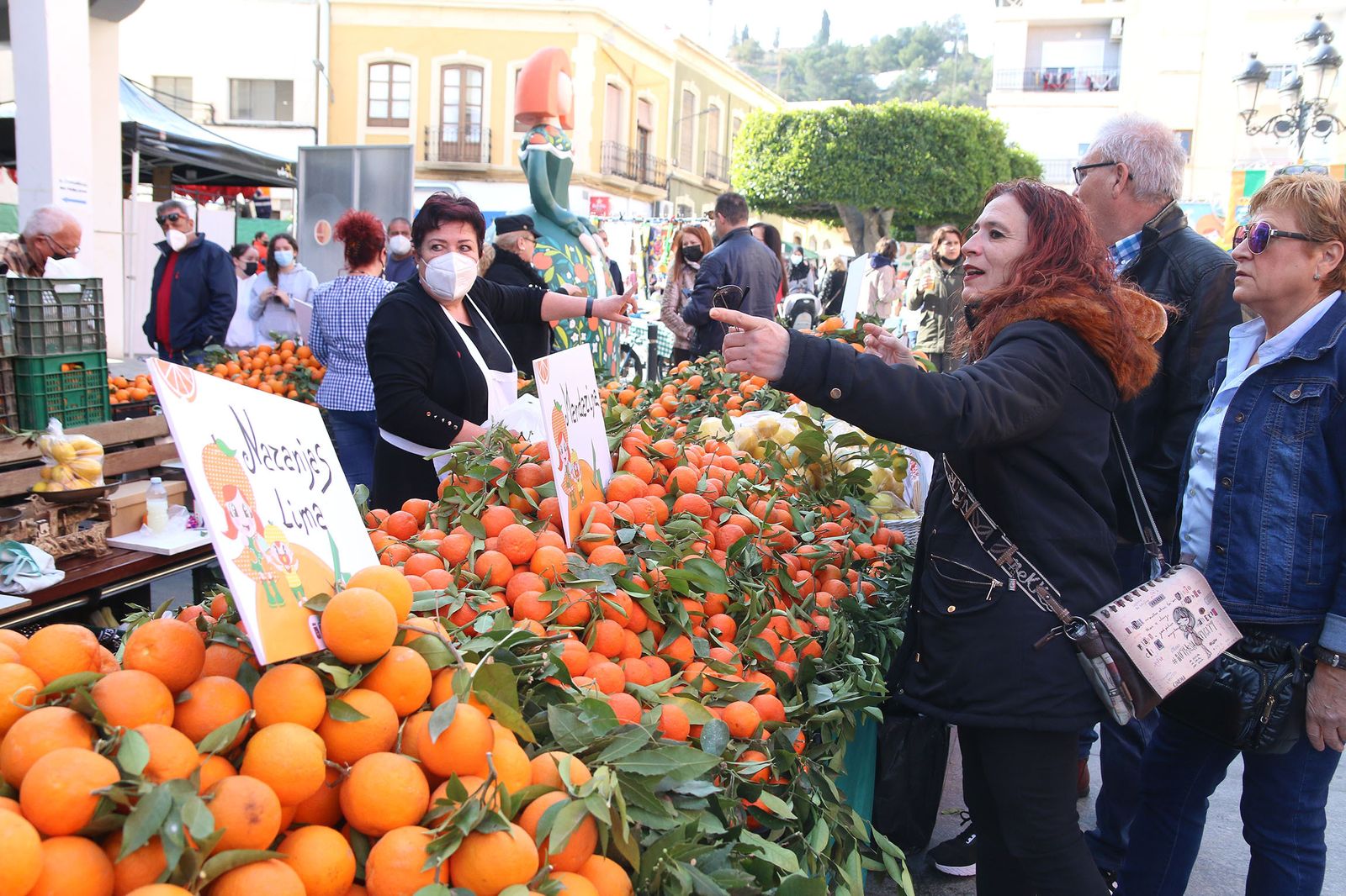 Fotogalería del Día de la Naranja de Gádor