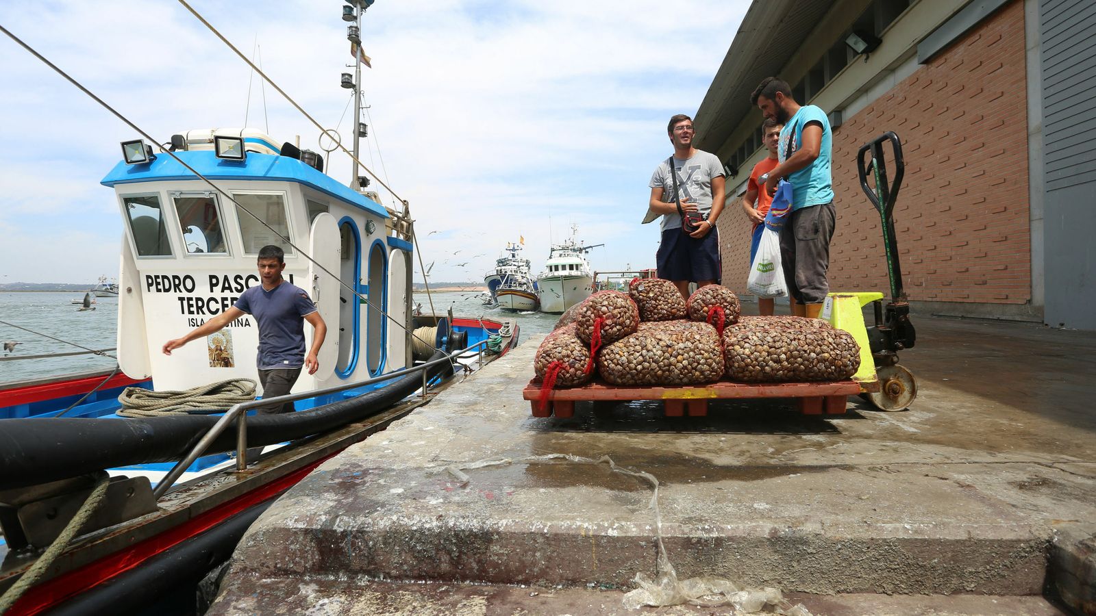 Imagen de la descarga del género en la lonja de Isla Cristina.