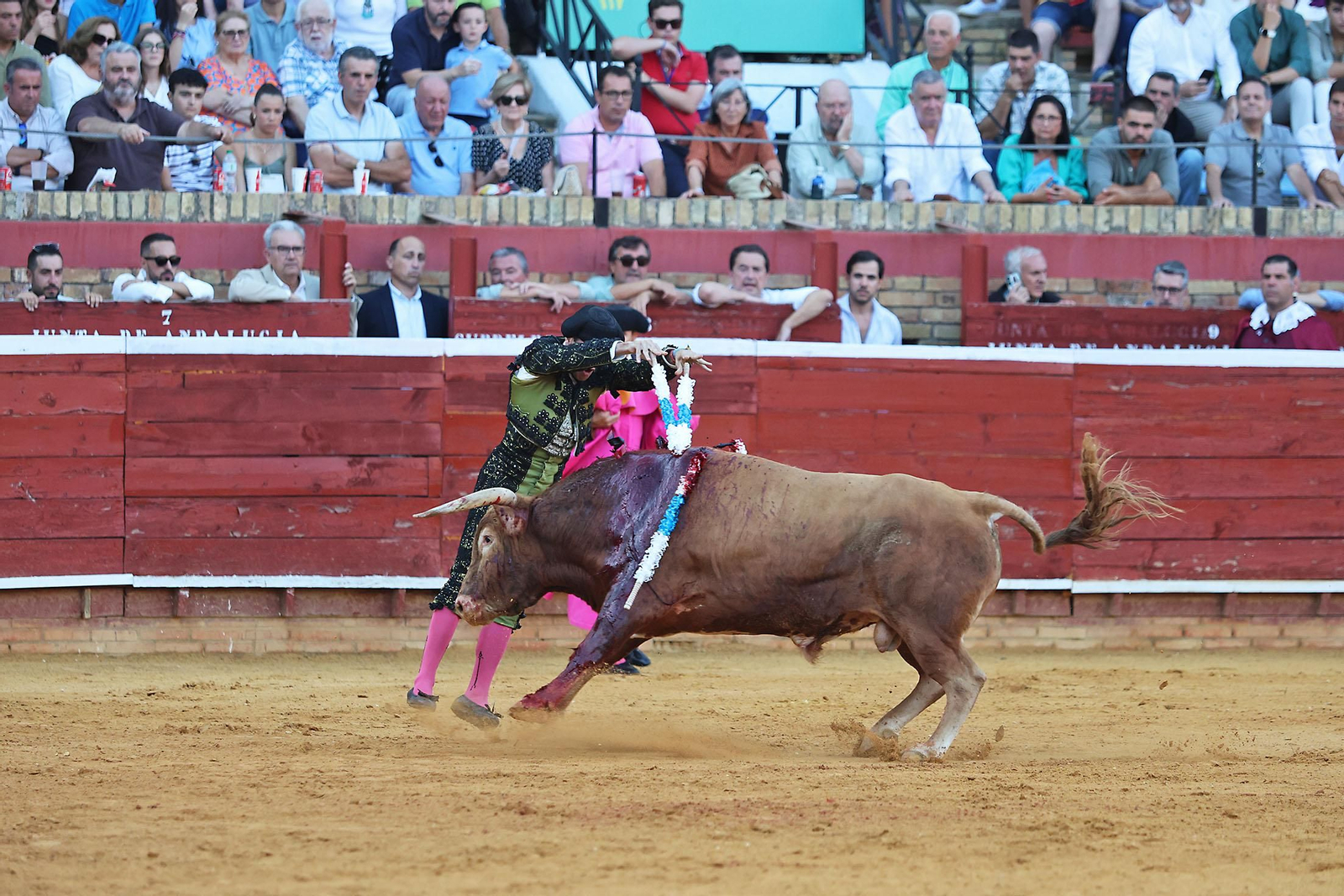 Toros La Merced 2024 Novillada con picadores(