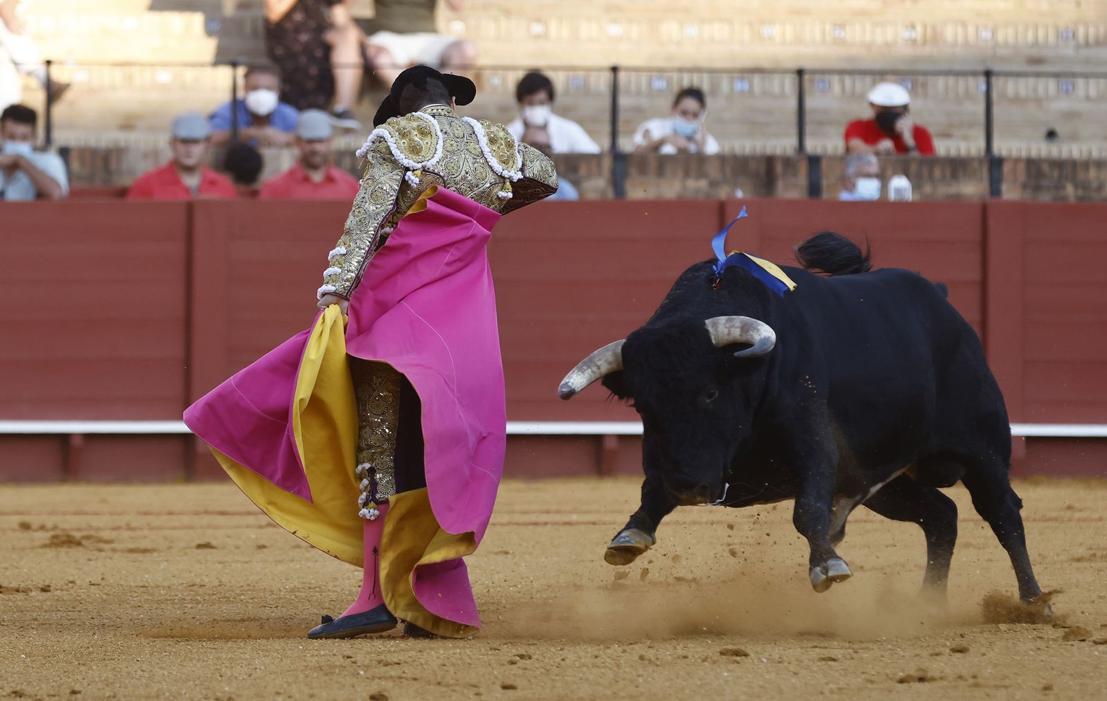 Fotos de la segunda novillada de la feria de San Miguel de Sevilla
