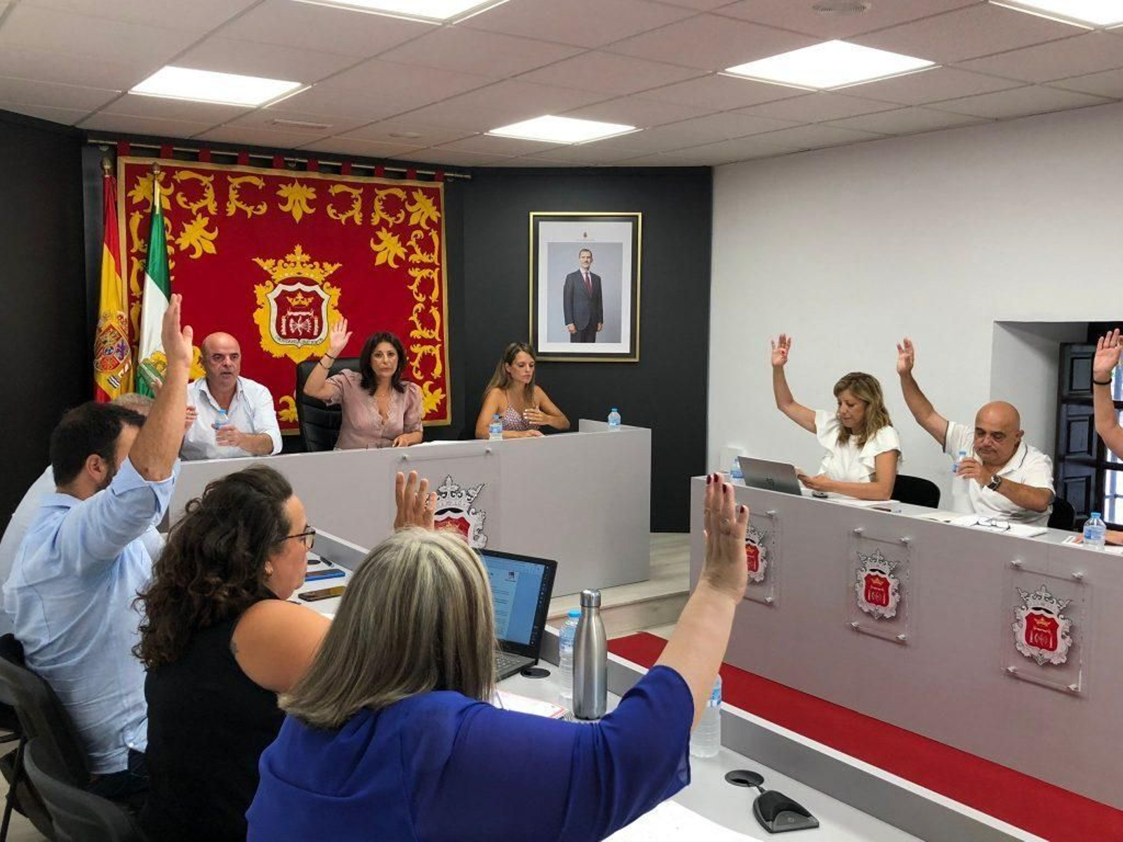 Pleno de Ronda en el que se ha dado luz verde al proyecto.