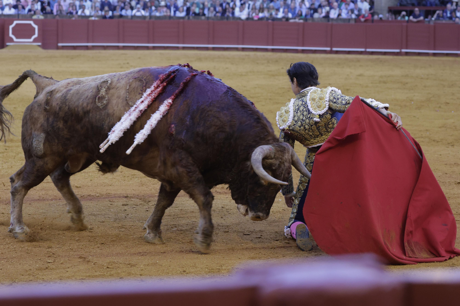 Las imágenes de la quinta corrida de abono en la Maestranza de Sevilla