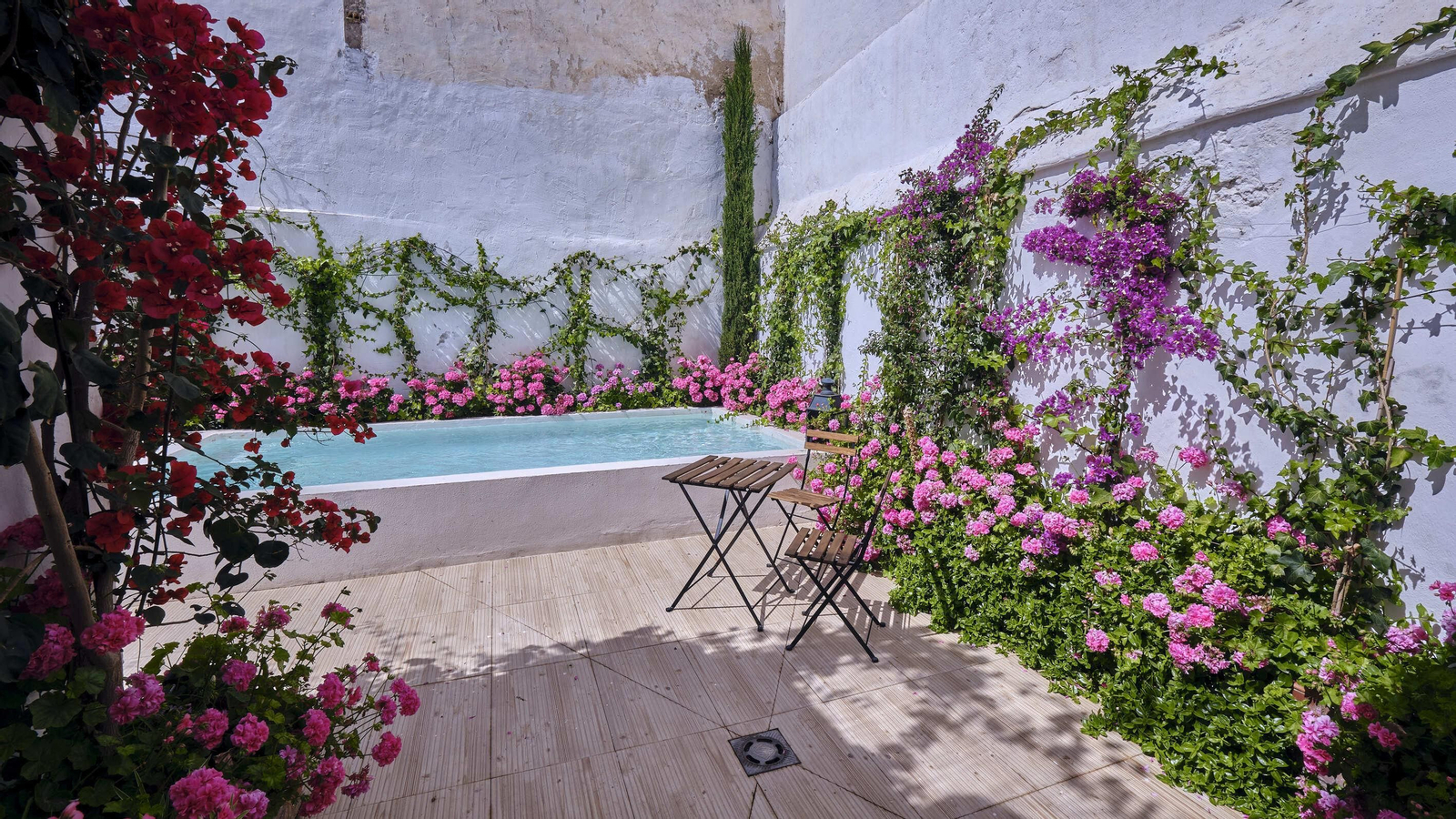 Fiesta de los patios 2023 de El Puerto