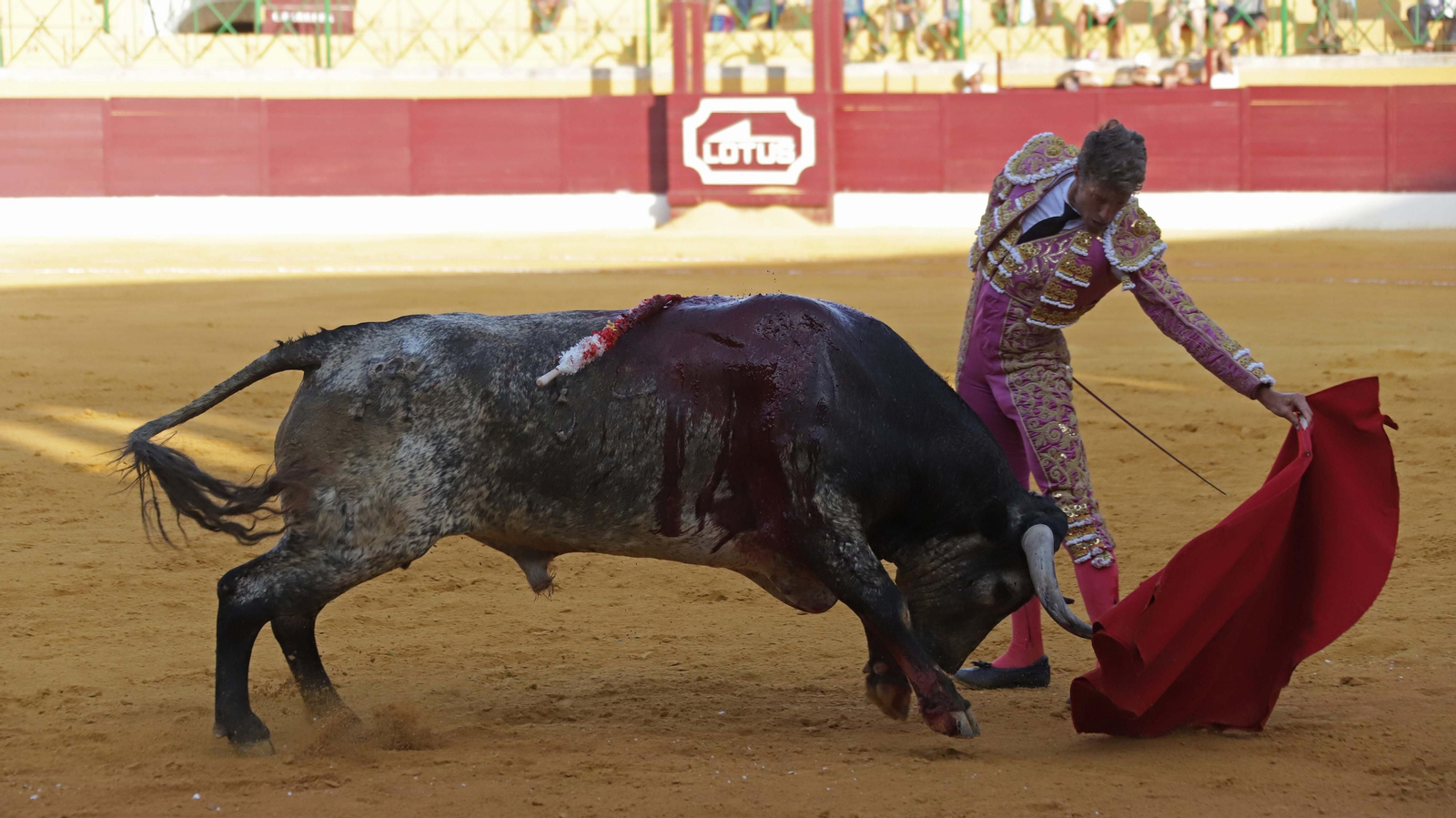 Fotos de la corrida del viernes de la Feria de La Línea: Curro Díaz, Manuel Escribano y David Galván