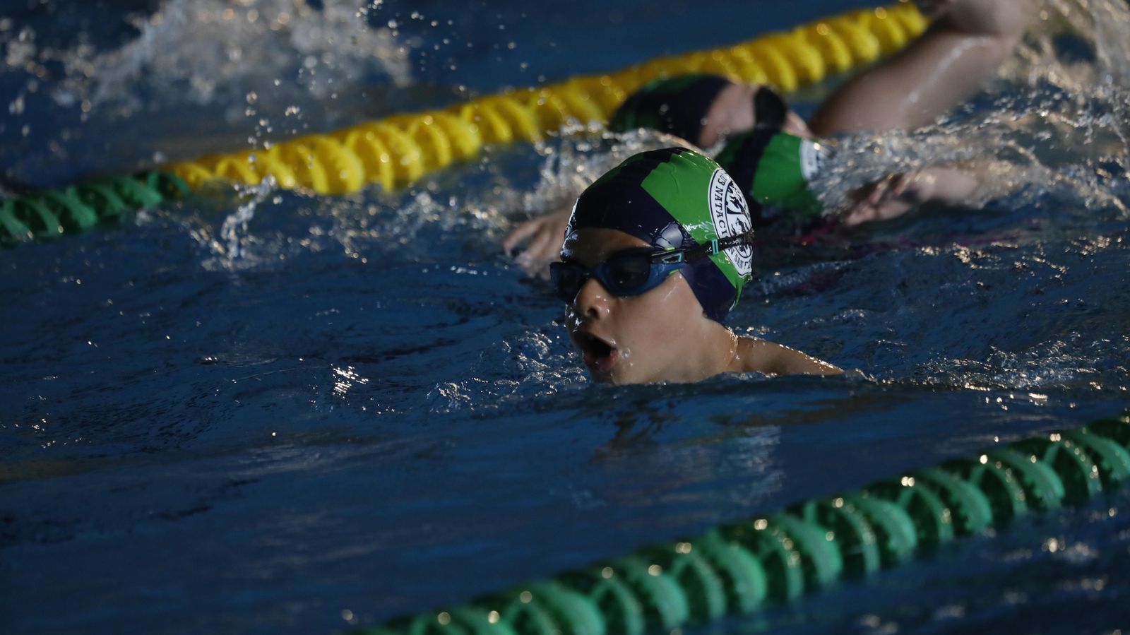 Las fotos del torneo de natación en Los Barrios