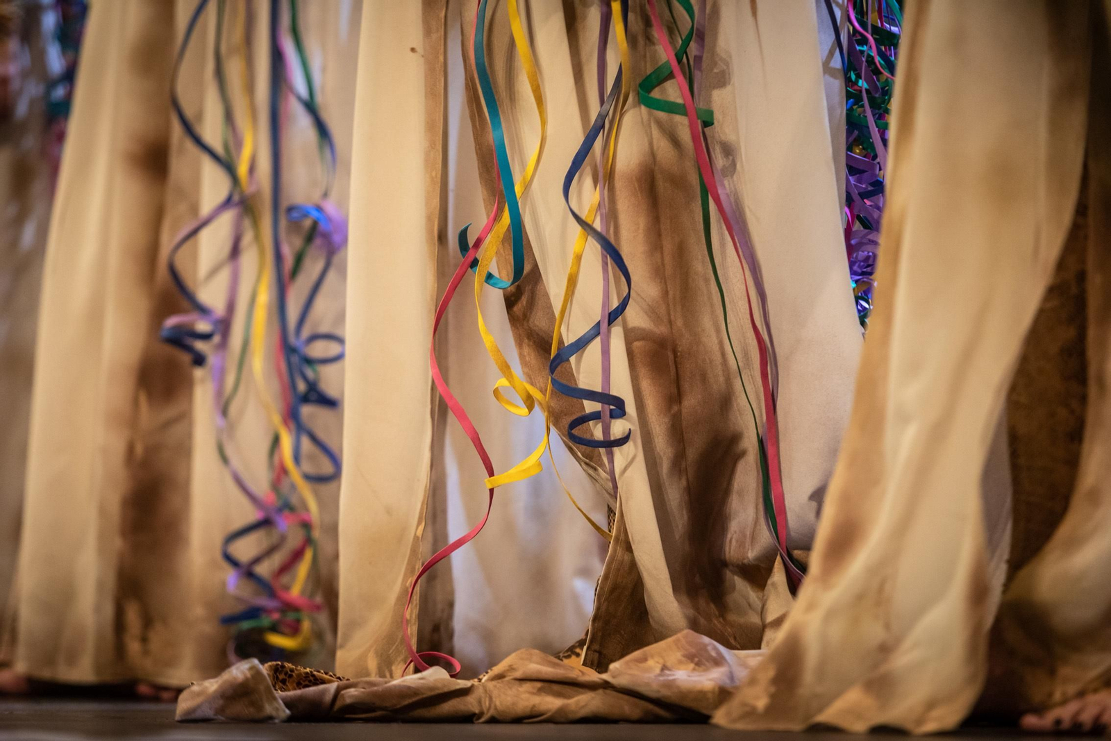 Comparsa mixta 'Lassss envenerasssss'