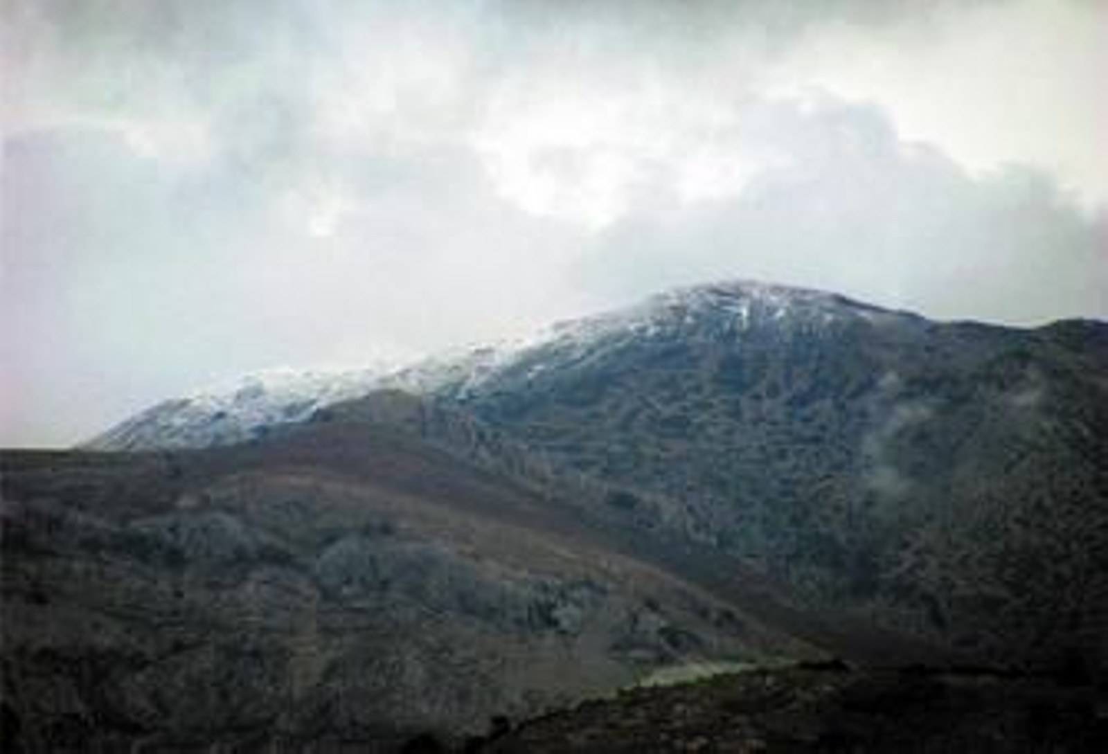 La nieve llega a la Serranía de Ronda