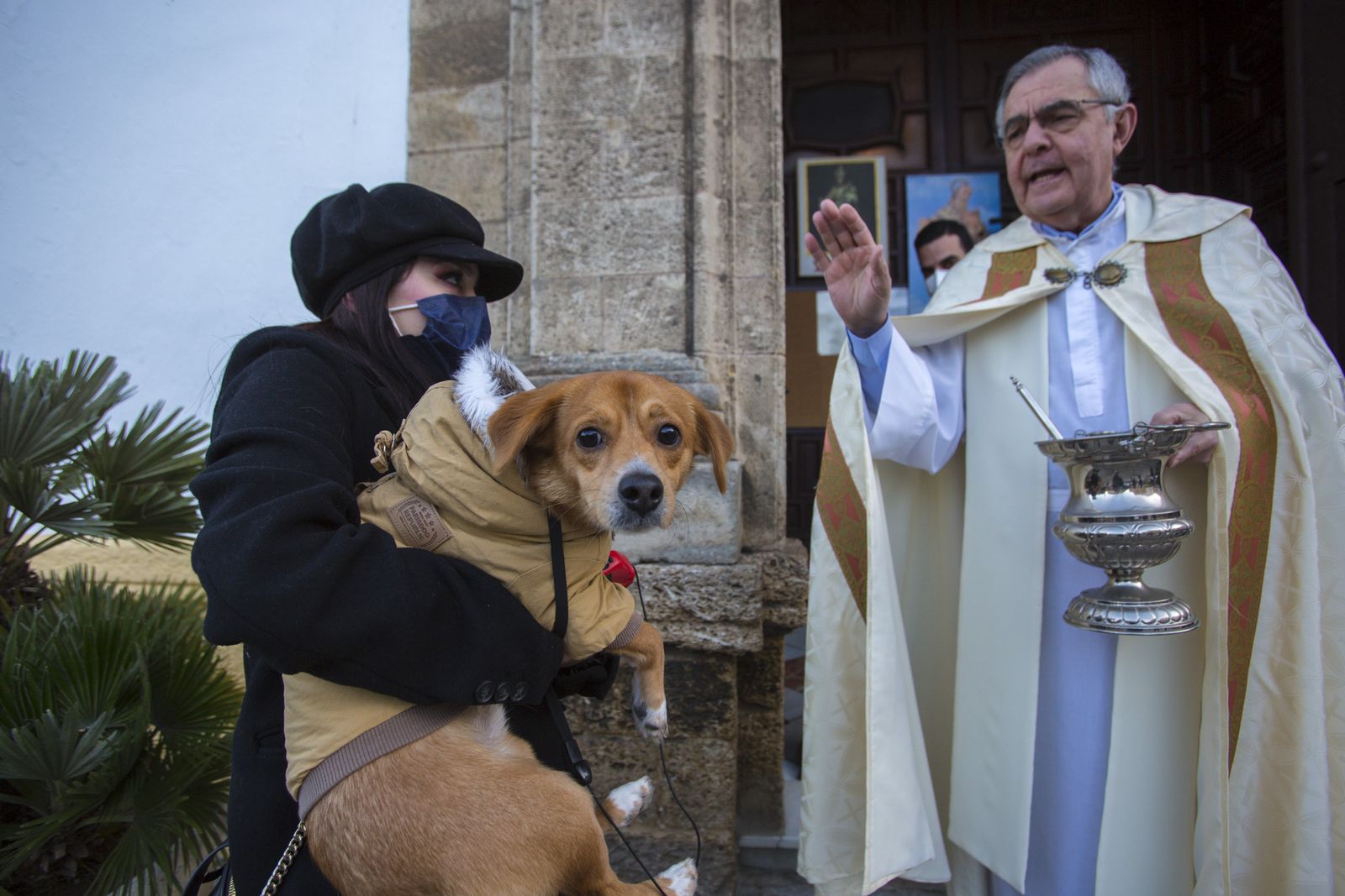 Bendición de los animales en la explanada de Santo Domingo el pasado año.