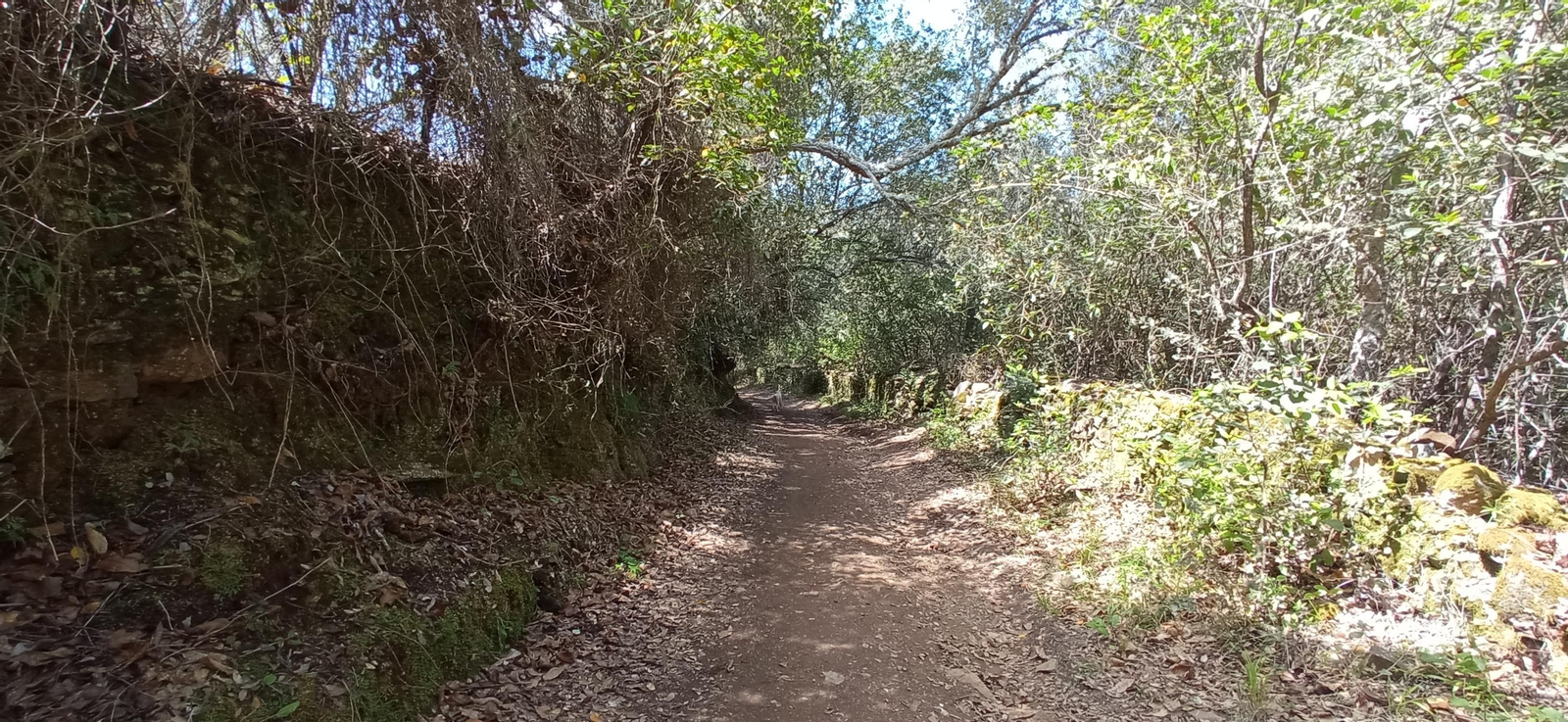 Las imágenes de la ruta de las casas de los Tres Cerditos