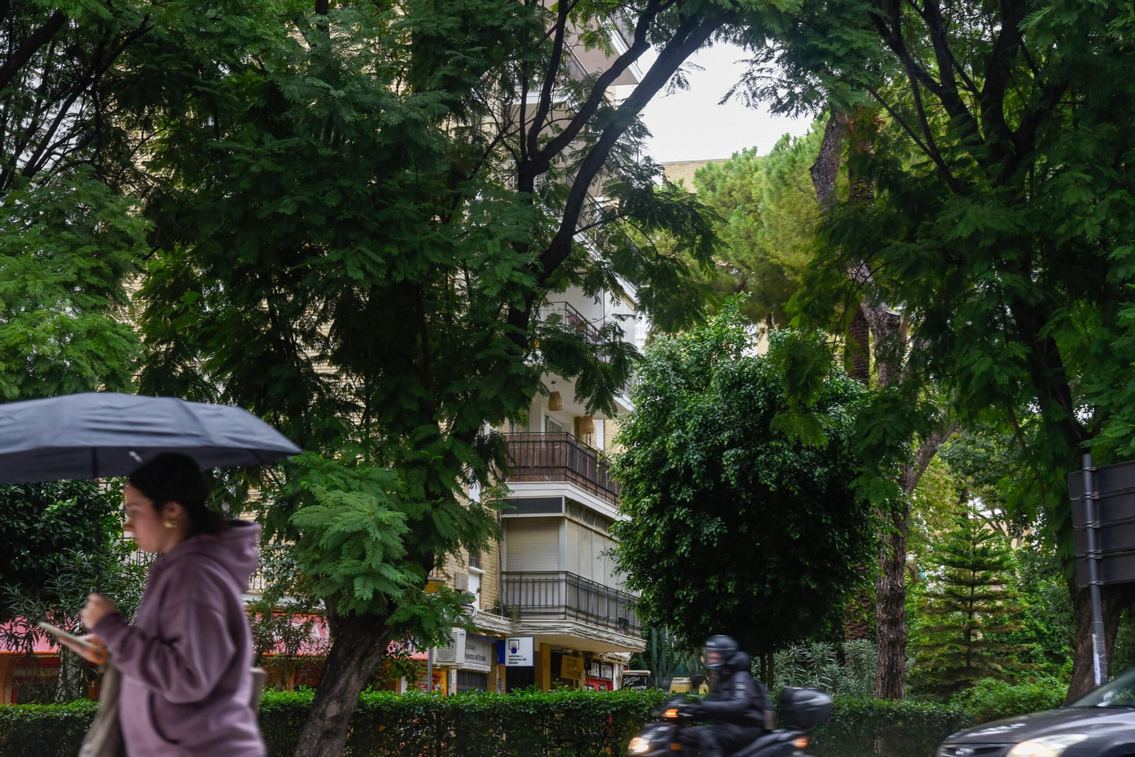 Redencial Condes de Bustillo, en Ramón y Cajal.