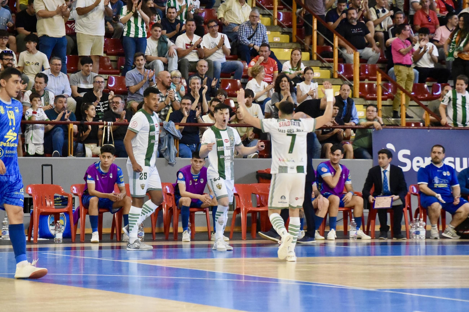 Las mejores fotos del ambiente en Vista Alegre para el Córdoba Futsal - Peñíscola