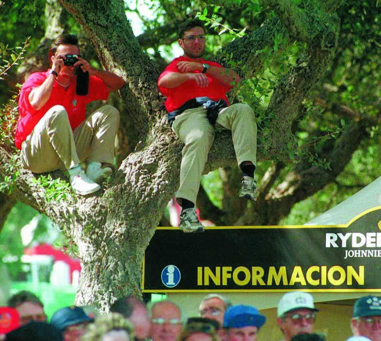 Imágenes de una Ryder eterna