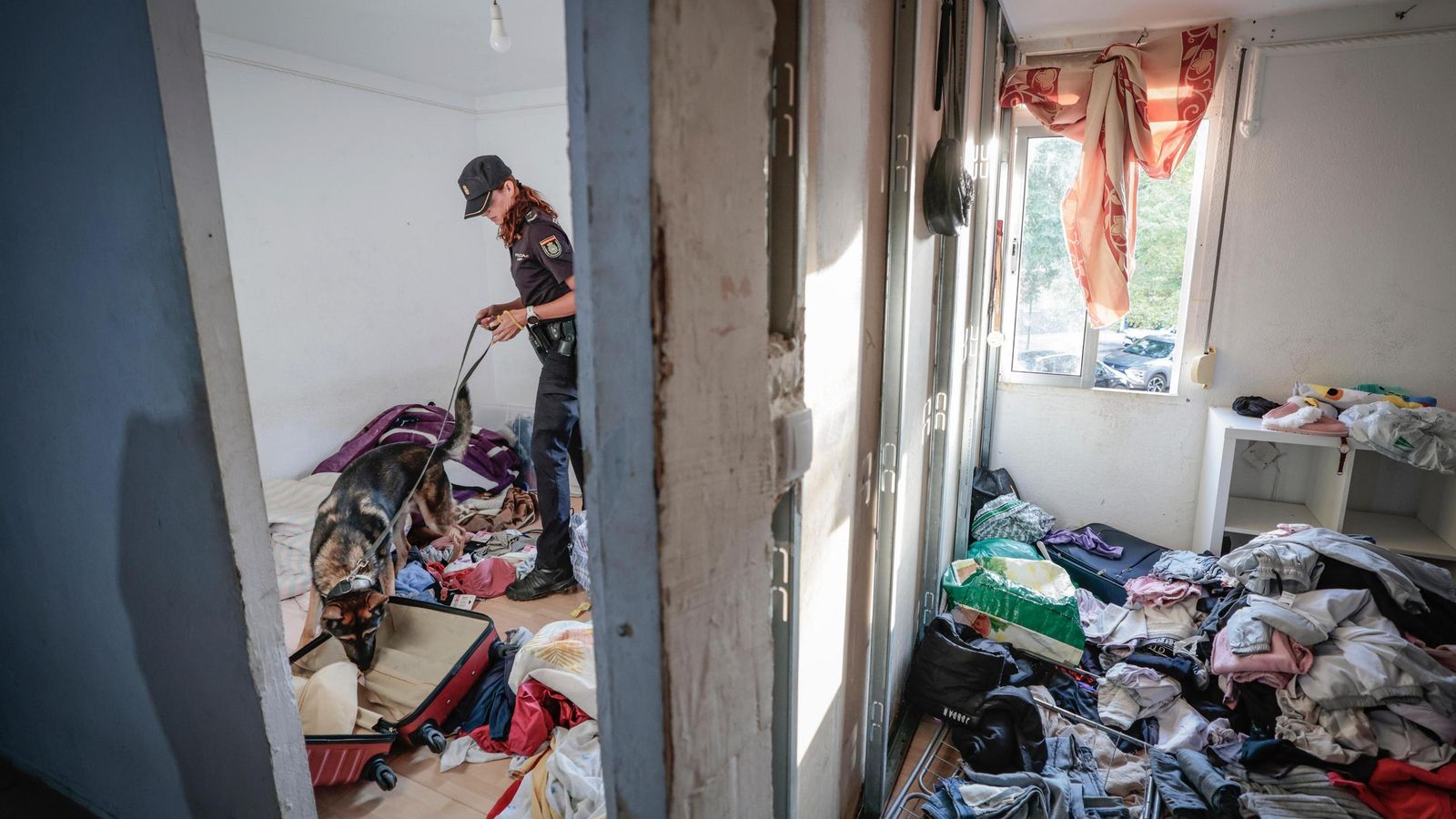 Un perro inspecciona una casa en Madre de Dios.