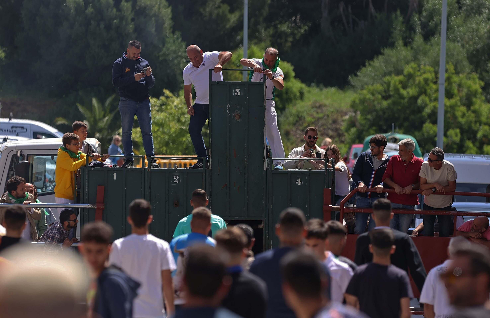Las mejores fotos del Toro Embolao de Los Barrios 2024