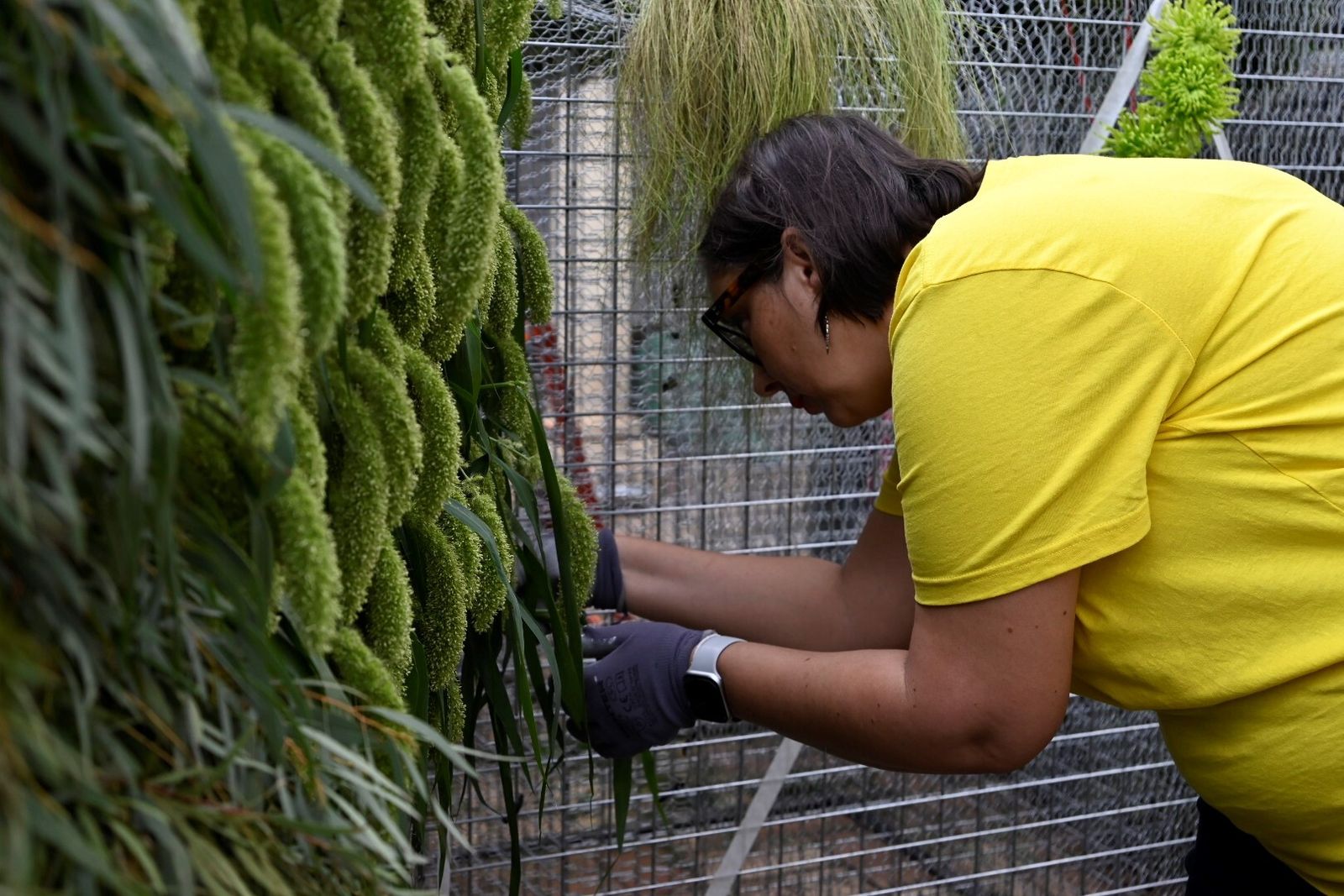 El avance de las creaciones de Flora, en imágenes