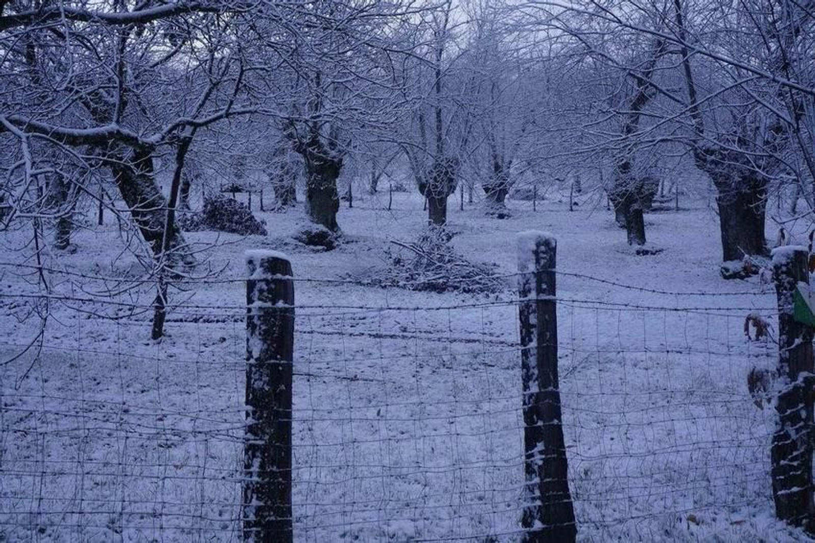Así de nevada despertaba la Sierra de Aracena con el paso de la borrasca 'Filomena'