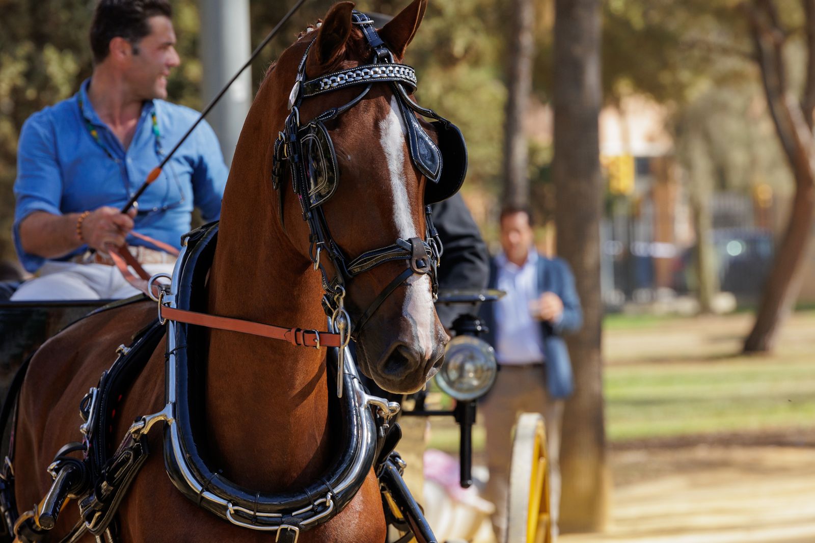 Feria del Caballo 2023: Las mejores imágenes de la primera tarde en el Parque Zafra
