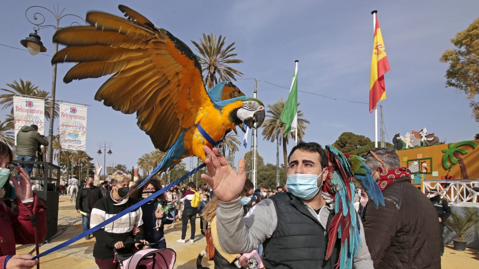 Imágenes de la 'Fiesta de San Antón 2022'