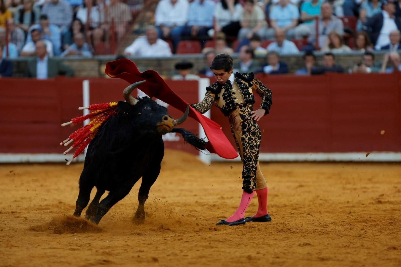 Las imágenes de la corrida de Ventura, Morante y Román en la Feria Taurina de Córdoba