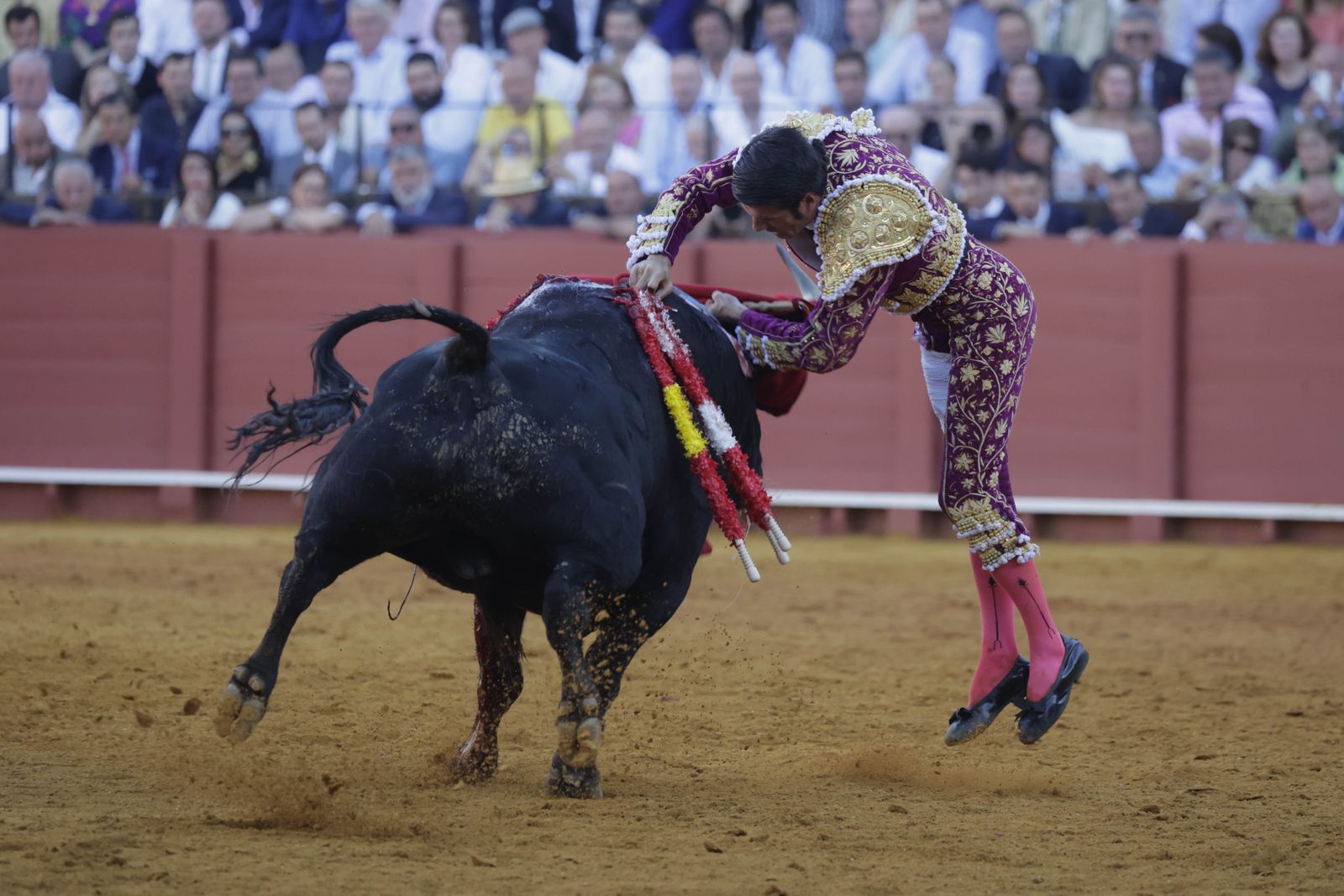 Las imágenes del festejo
