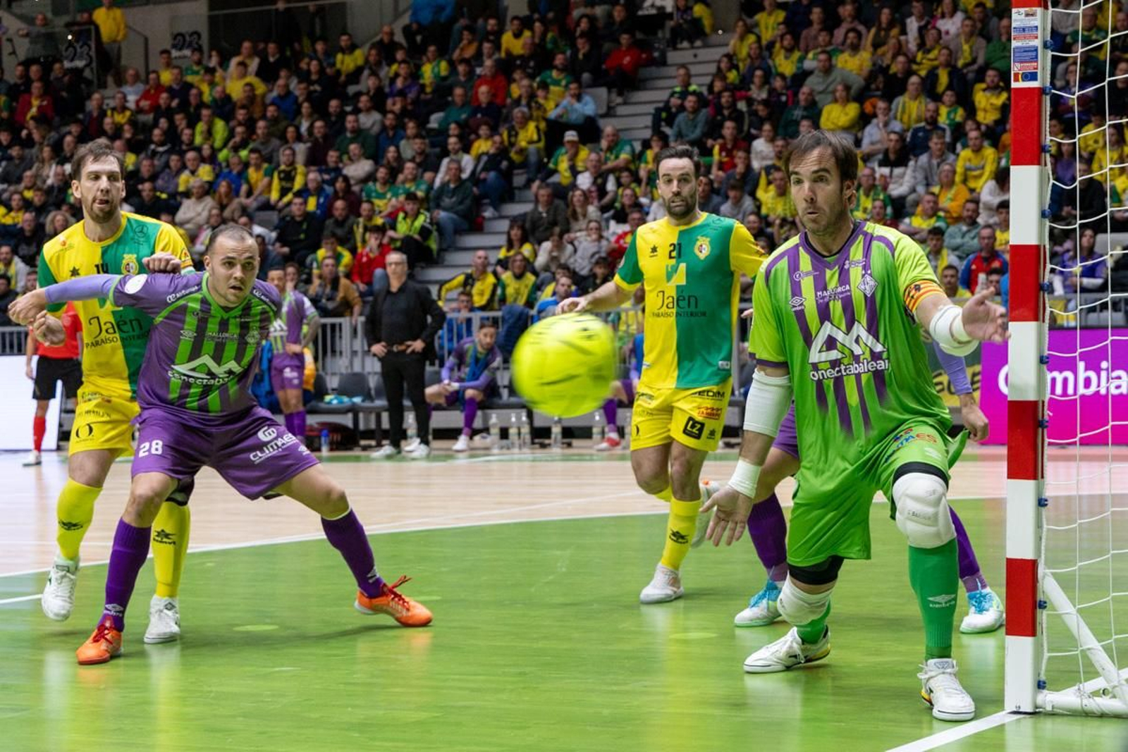 Las mejores imágenes del Jaén FS - Illes Balears Palma Futsal