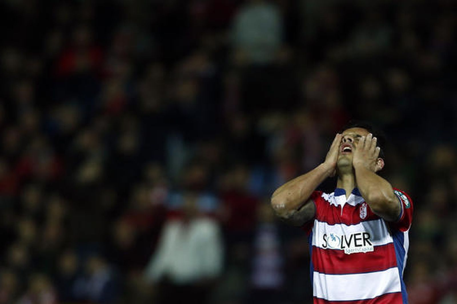 Foto: Pepe Villoslada