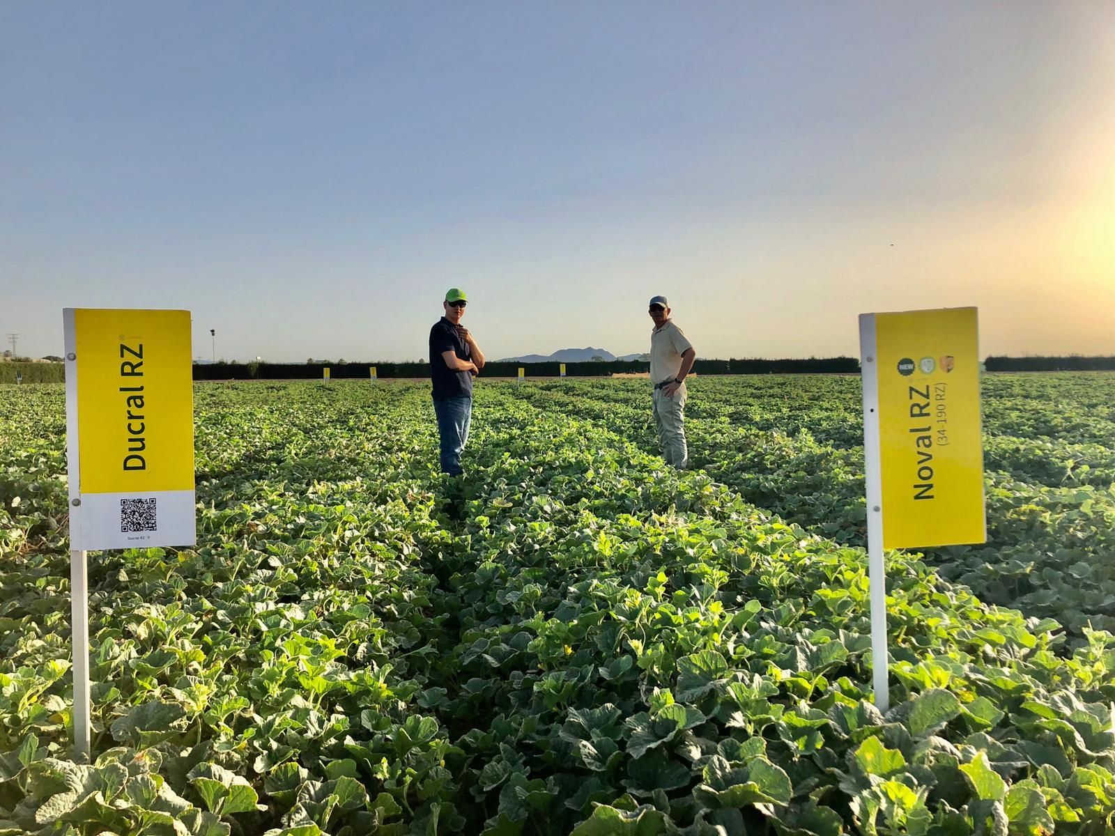 Imagen del Global Melon & Watermelon e-vent 2020