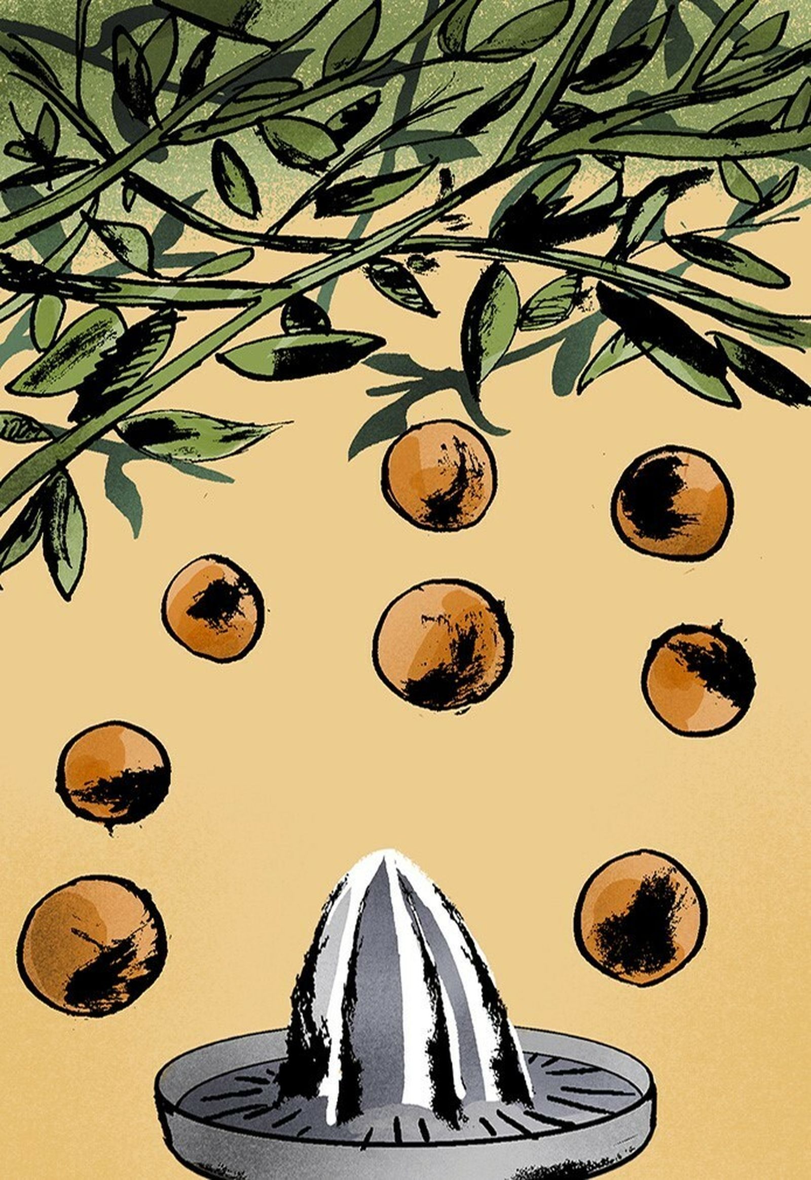 La Guerra de las Naranjas