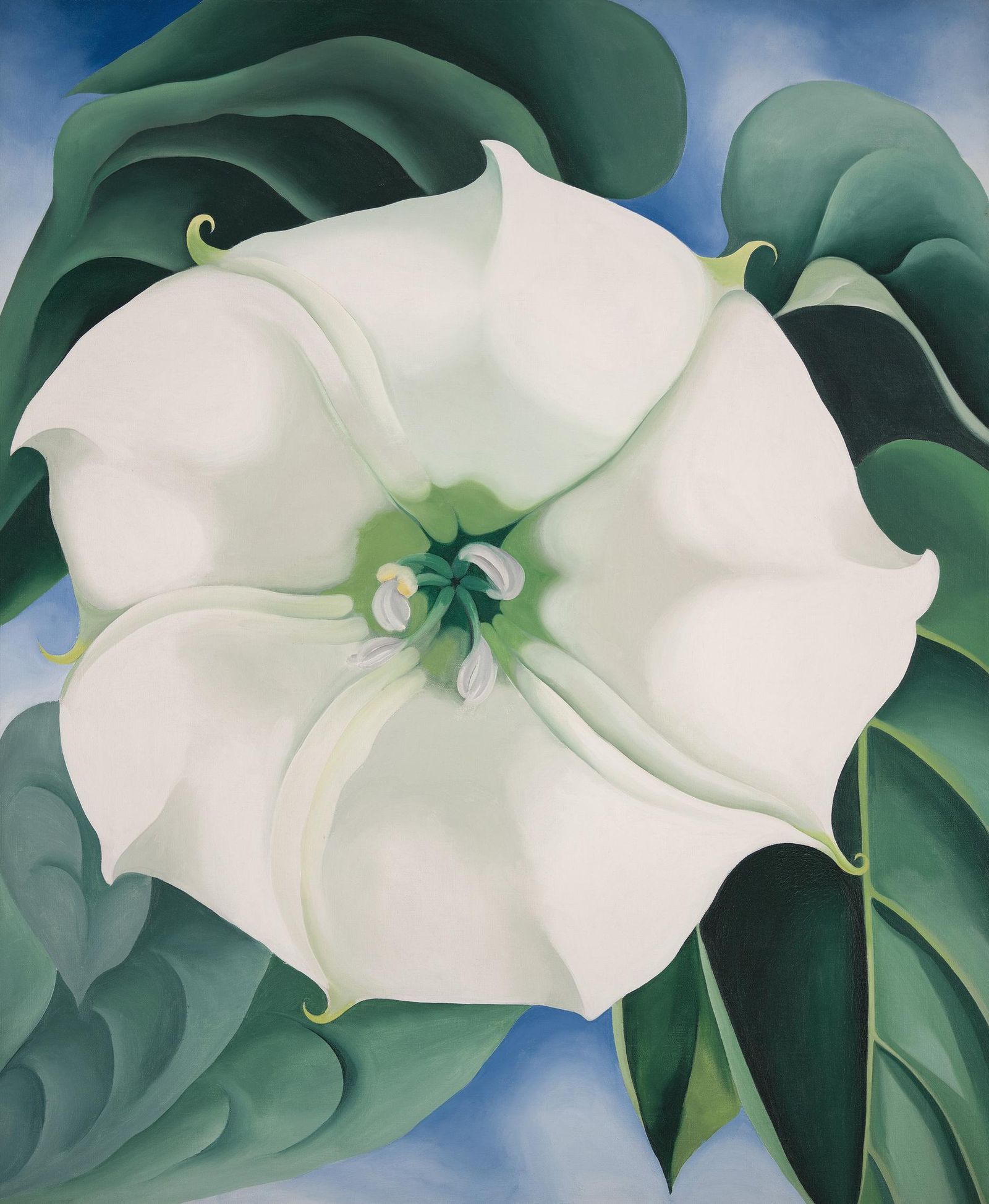 'Estramonio. Flor blanca nº 1', 1932 de Georgia O'Keeffe.