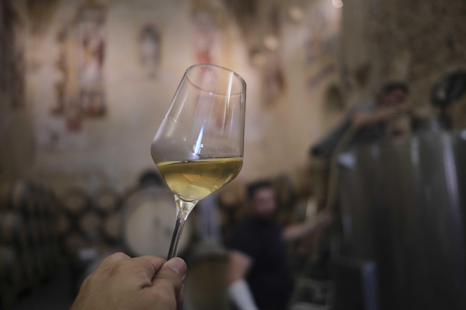La vendimia de la Serranía de Ronda, en fotos.
