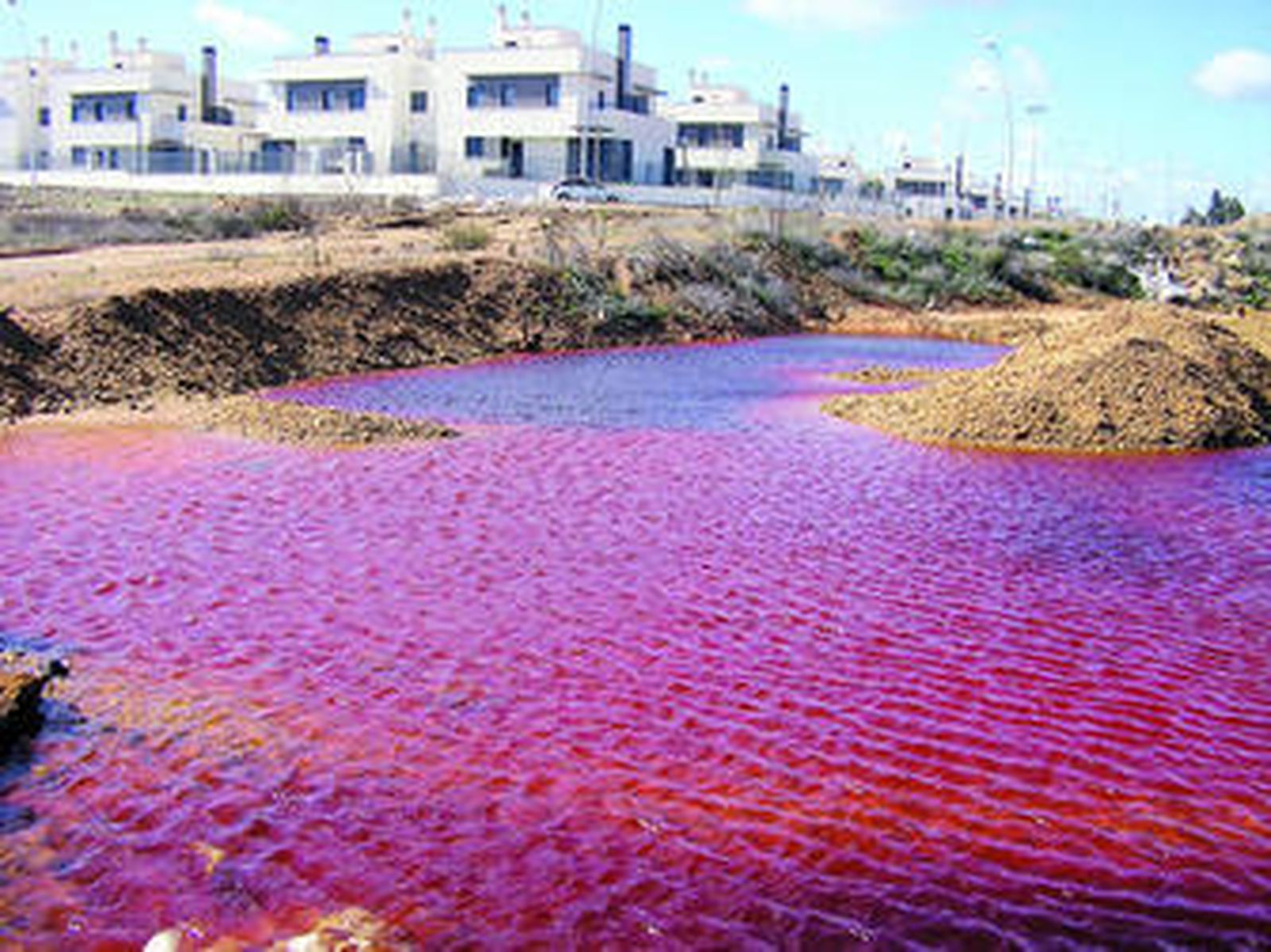 Balsa creada por las lluvias del pasado invierno, con drenaje de residuos, junto a la urbanización afectada.