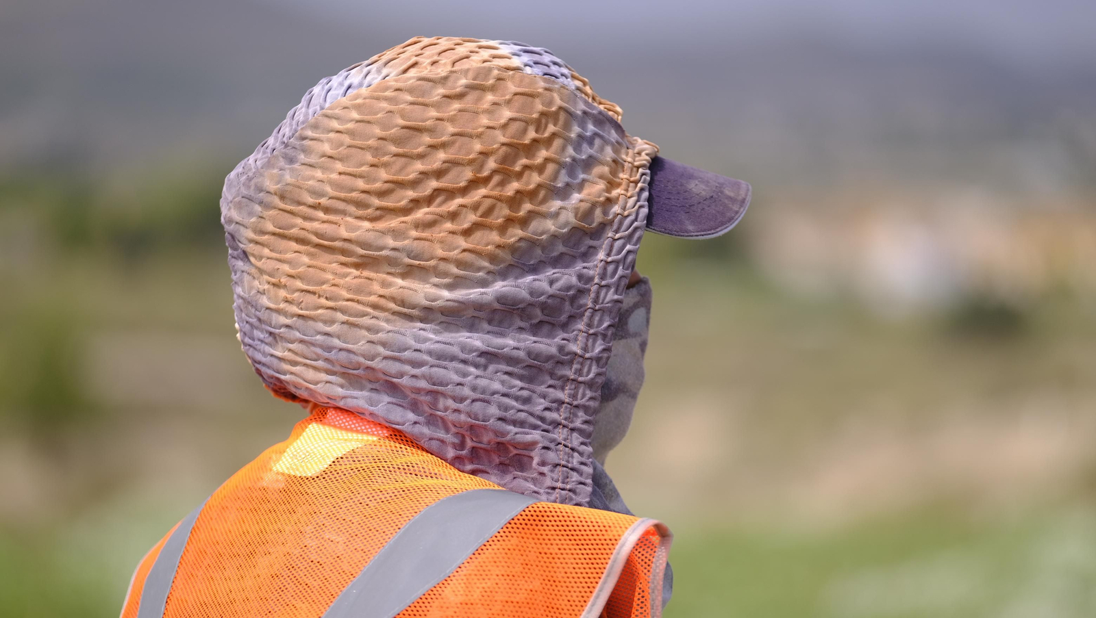 La sandía y el melón de Huércal Overa, manjares en imágenes