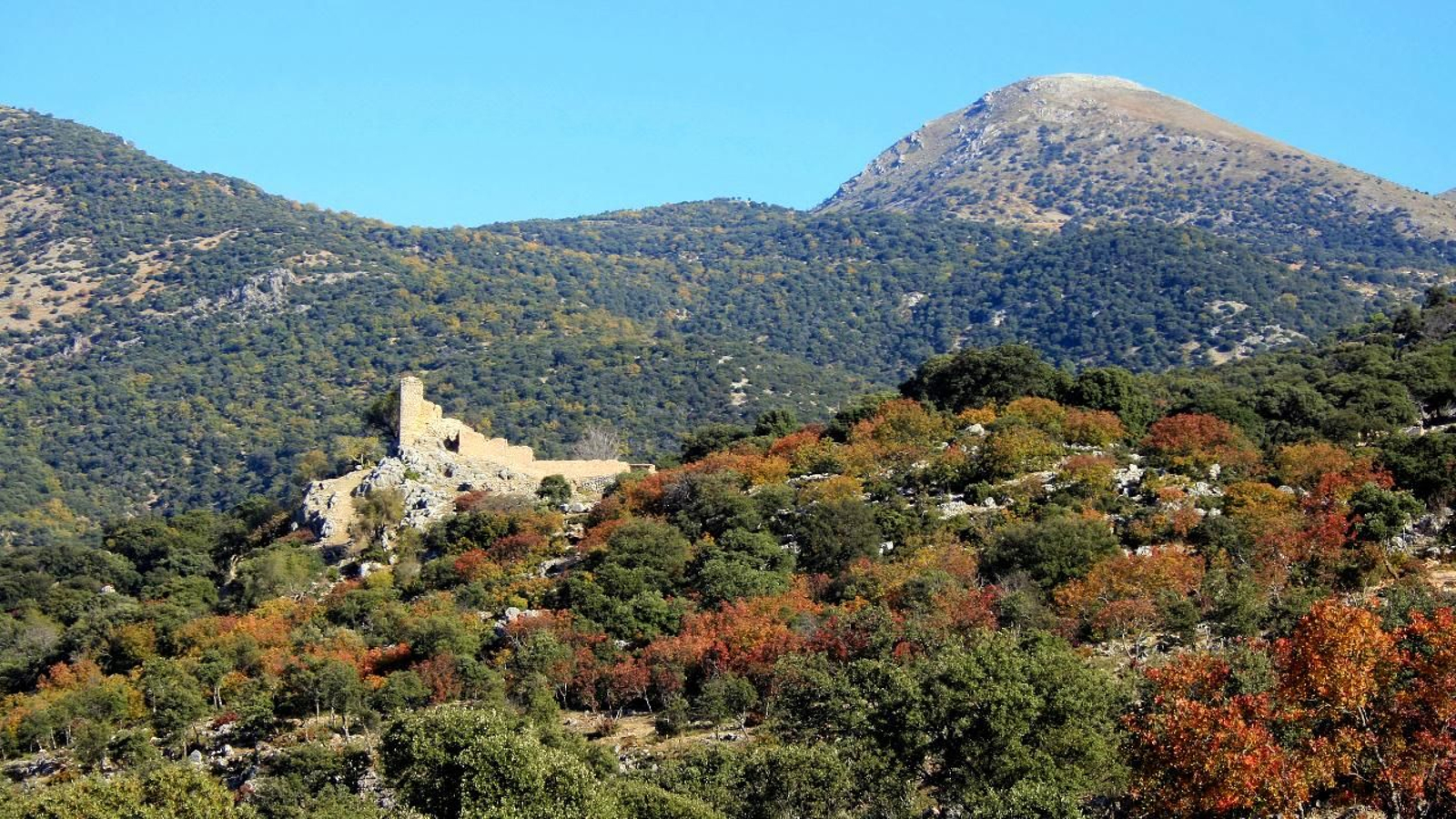 Desde los restos del castillo pueden contemplarse panorámicas del Pico Almadén, la Peña de Jaén y las sierras que se extienden hasta Sierra Nevada.