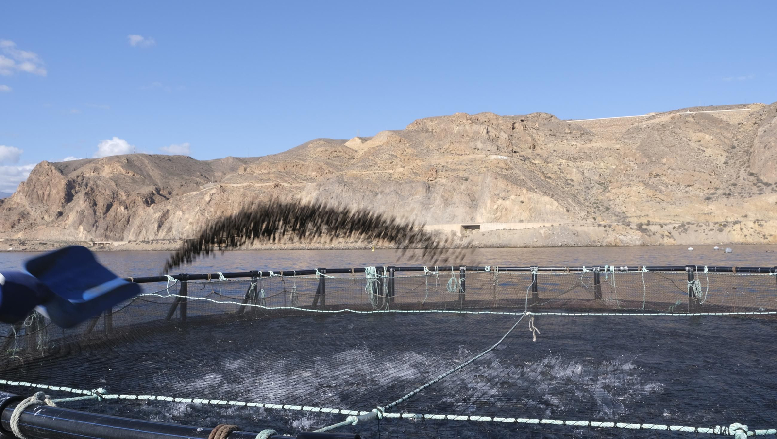 La piscifactoría de El Cañarete, en imágenes