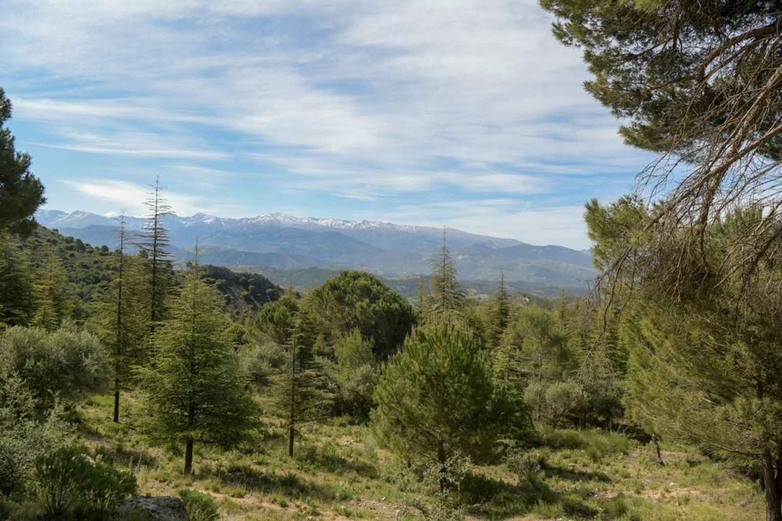 Imagen de archivo de la Sierra de Huétor