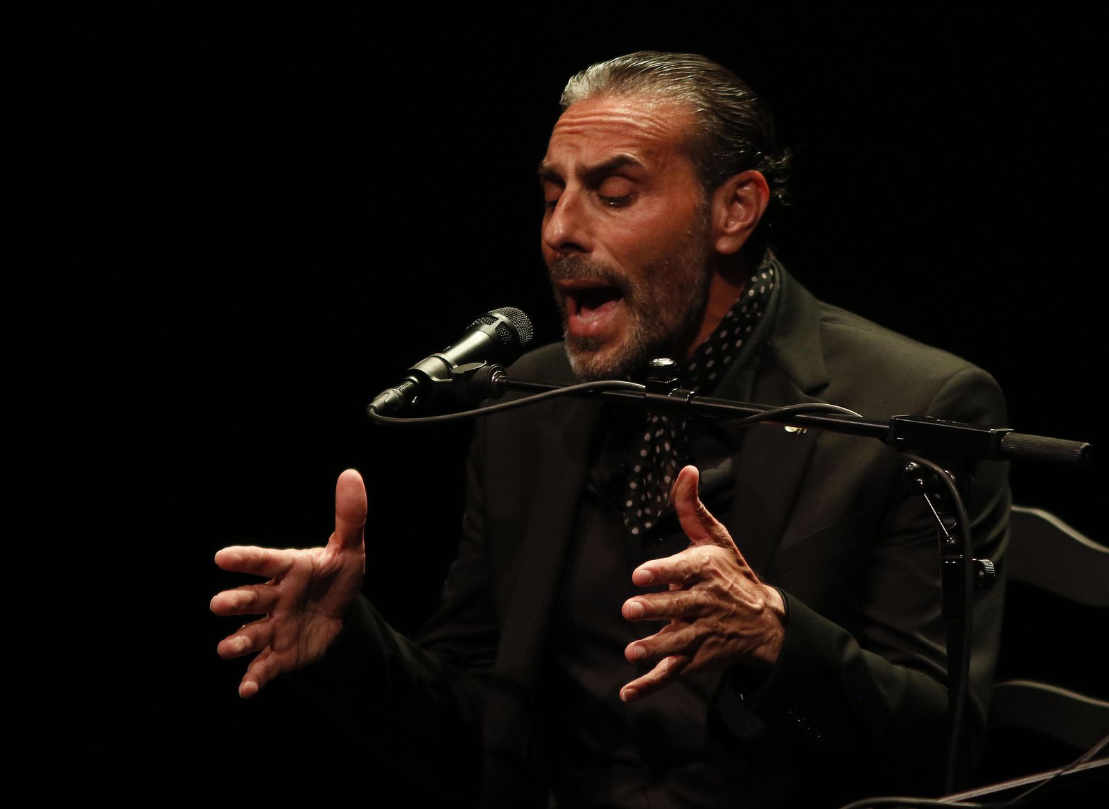 El cantaor presentó su nueva propuesta en el Teatro Lope de Vega.