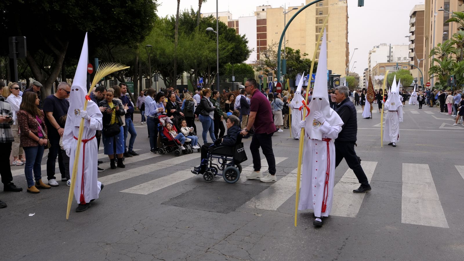 La Borriquita procesiona por las calles de Almería, en imágenes