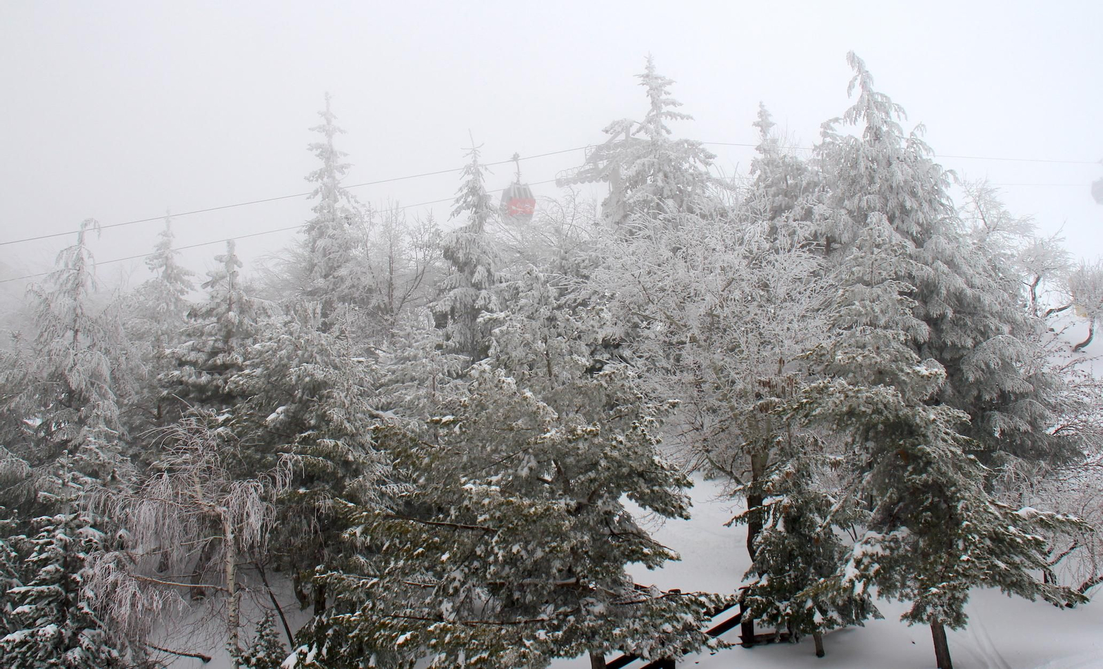 La nevada del fin de semana en Sierra Nevada, en imágenes