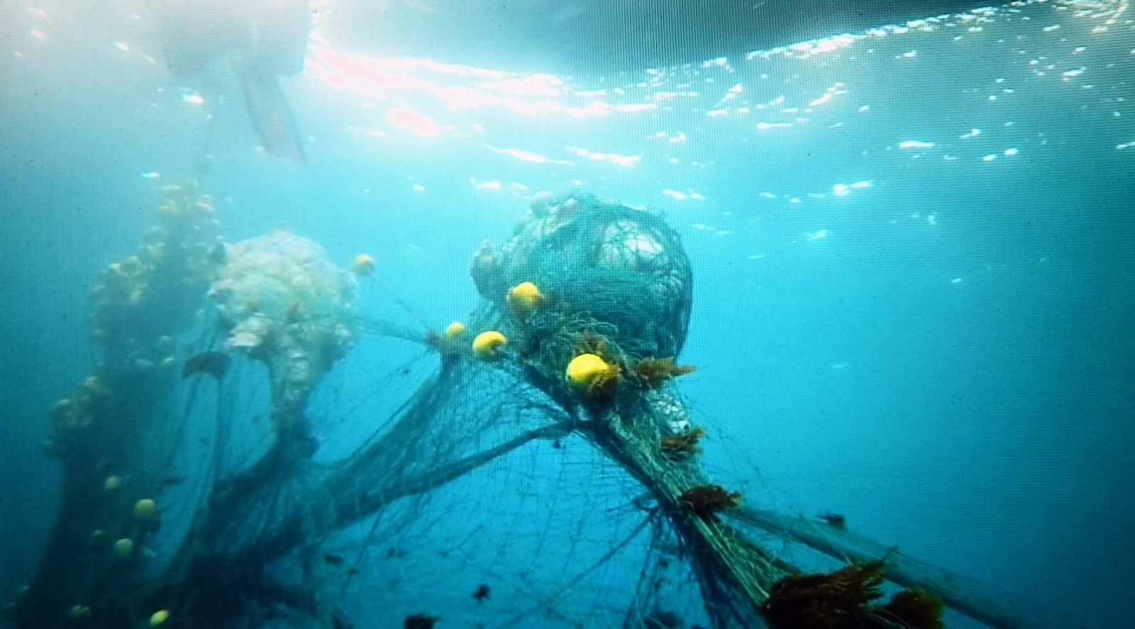 Una de las redes de enmalle en el Estrecho.