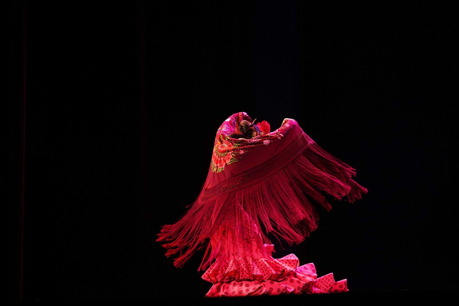 Las fotos del primer día del Concurso Nacional de Arte Flamenco de Córdoba