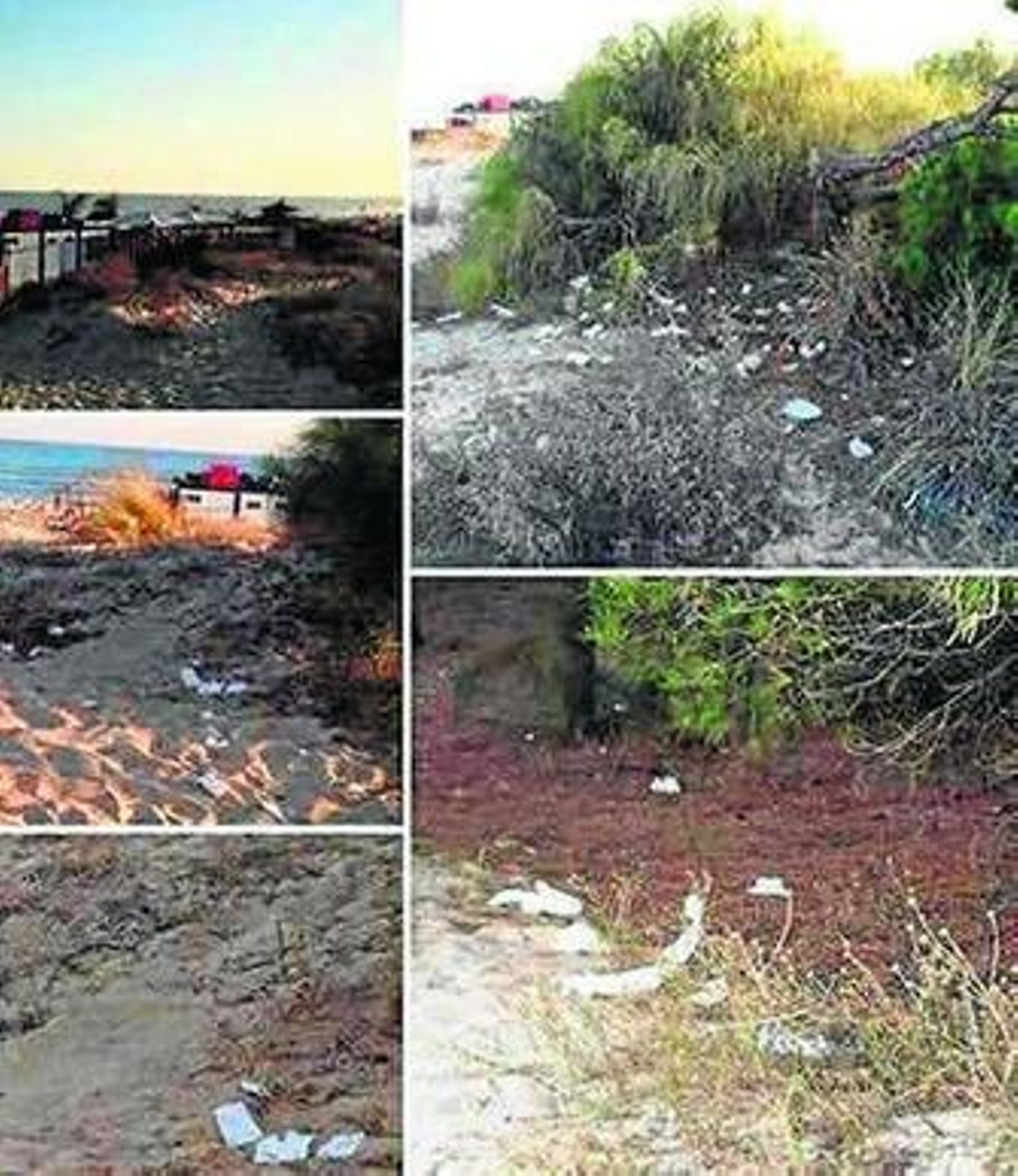 Imagen del chiringuito denunciado junto con un detalle de la suciedad que se acumula en la zona.