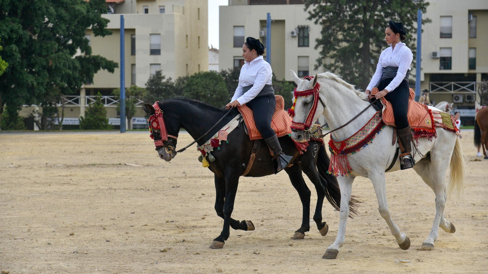 Cuarta jornada de Algeciras Entremares VII Edición