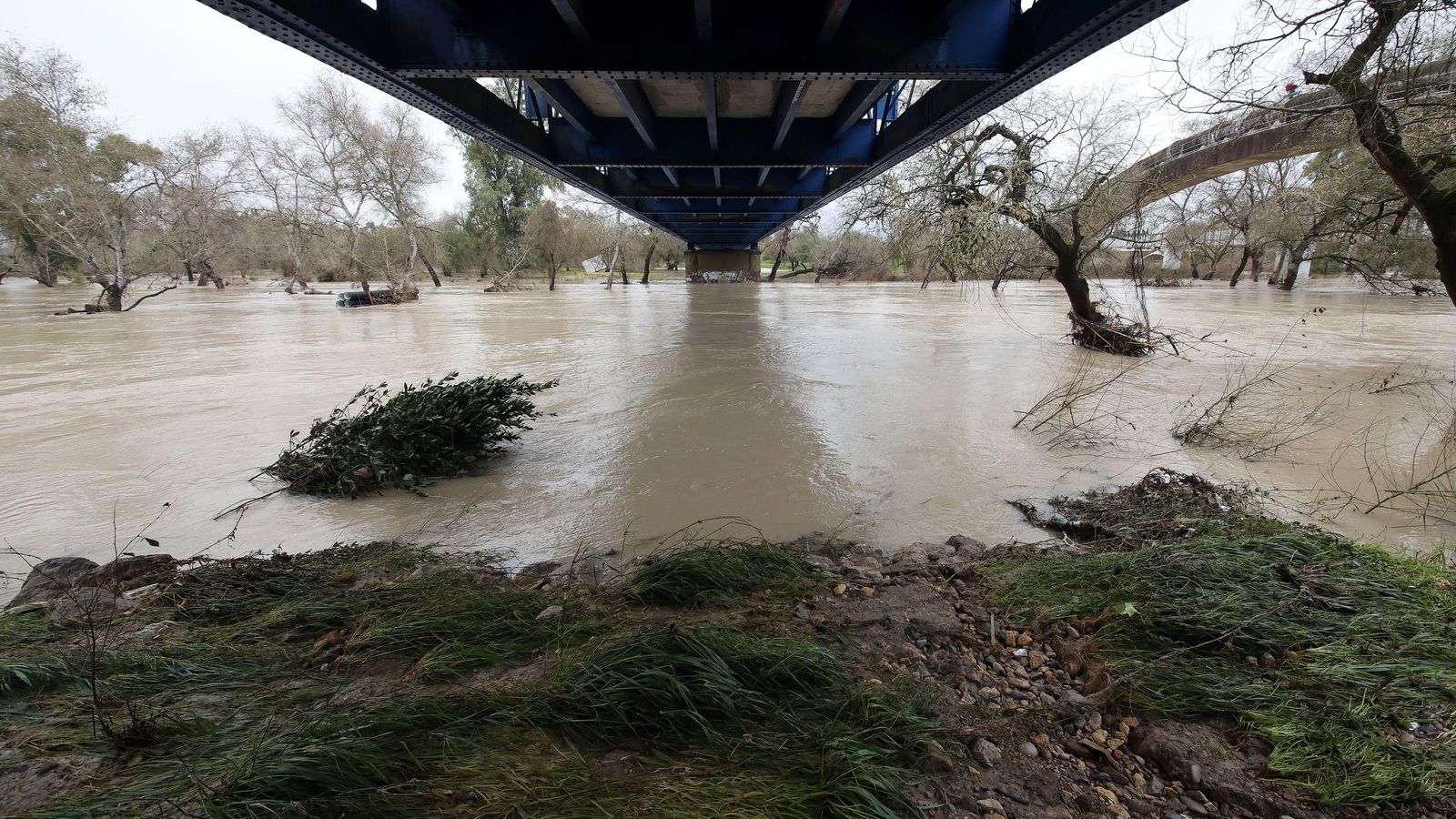 Ruta por la zona rural inundada de Jerez