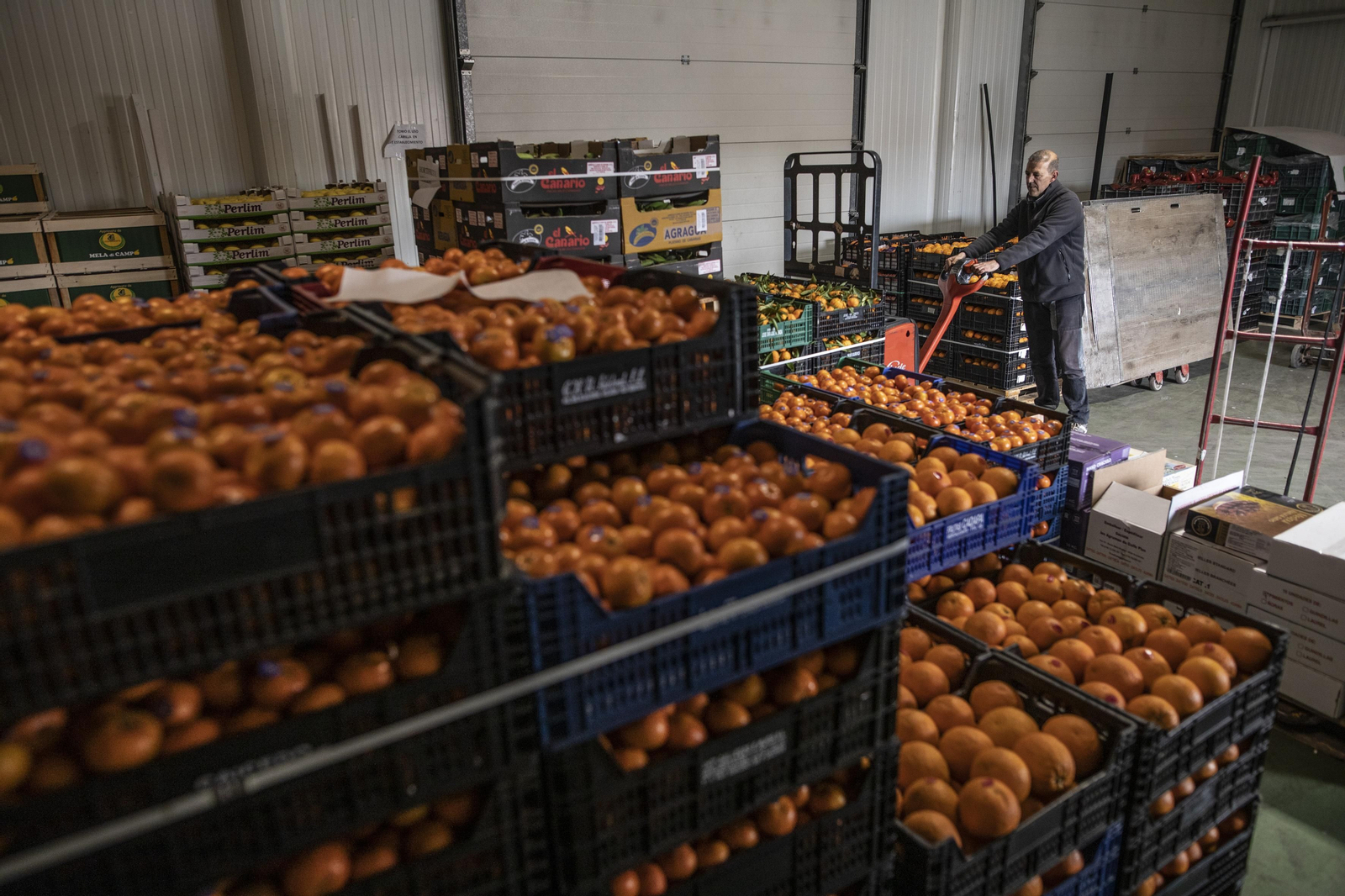 Desabastecimiento irregular y nueva parada de los pesqueros: dos semanas del paro indefinido del transporte en Granada